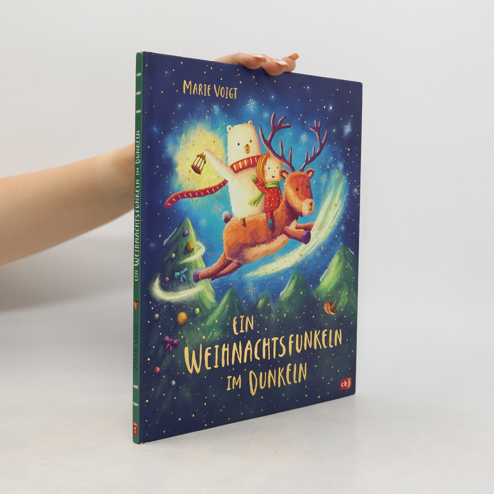 Marie Voigt Ein Weihnachtsfunkeln im Dunkeln
