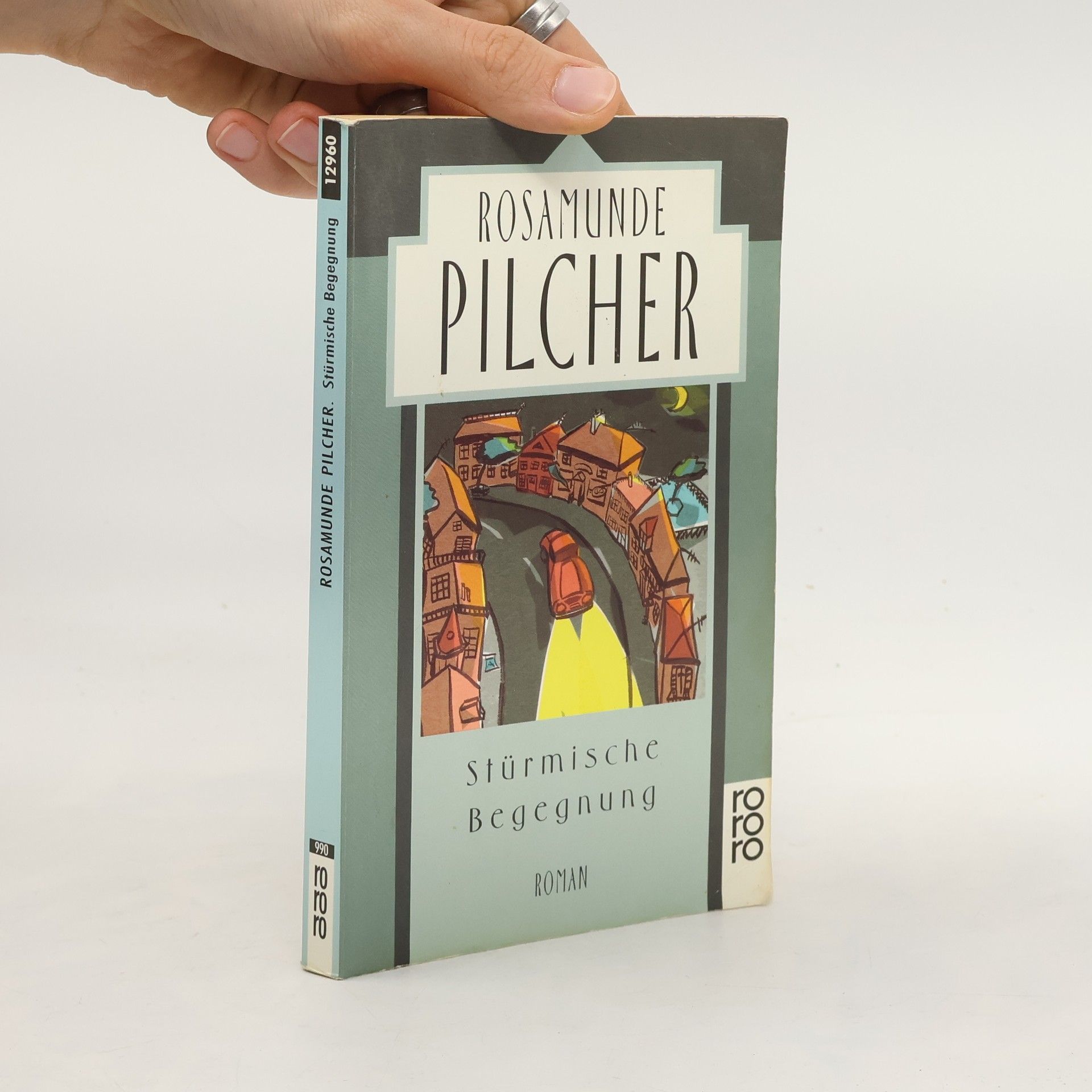 Rosamunde Pilcher Stürmische Begegnung
