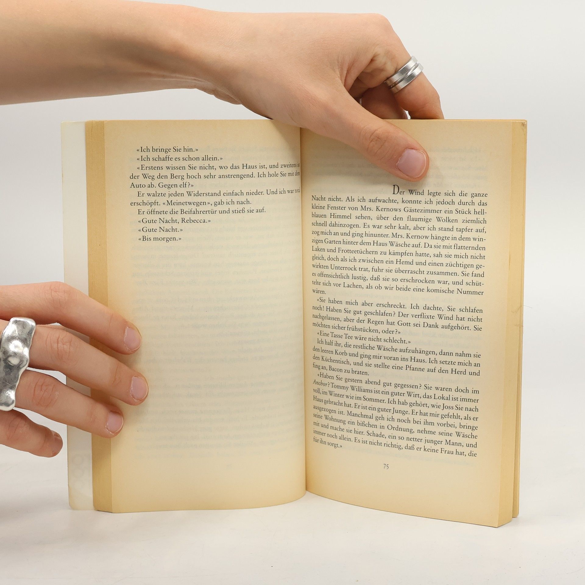 Rosamunde Pilcher Stürmische Begegnung