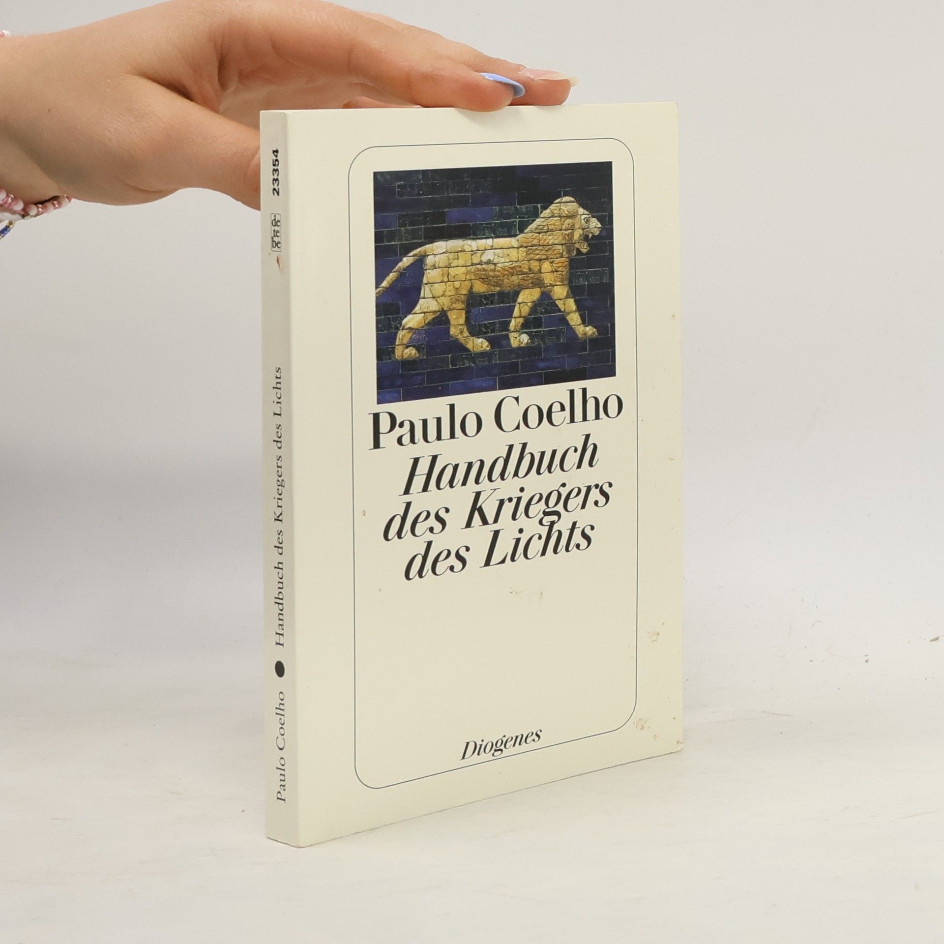 Paulo Coelho Handbuch des Kriegers des Lichts