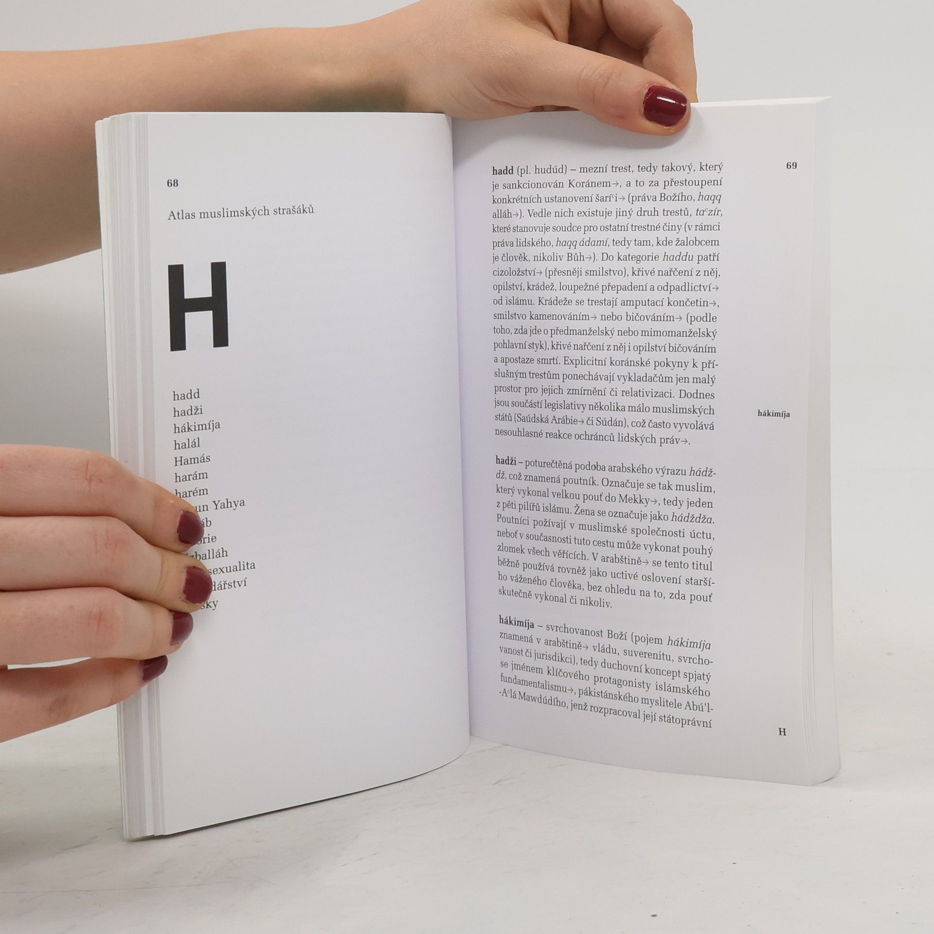 Bronislav Ostřanský Atlas muslimských strašáků, aneb, Vybrané kapitoly z "mediálního islámu"