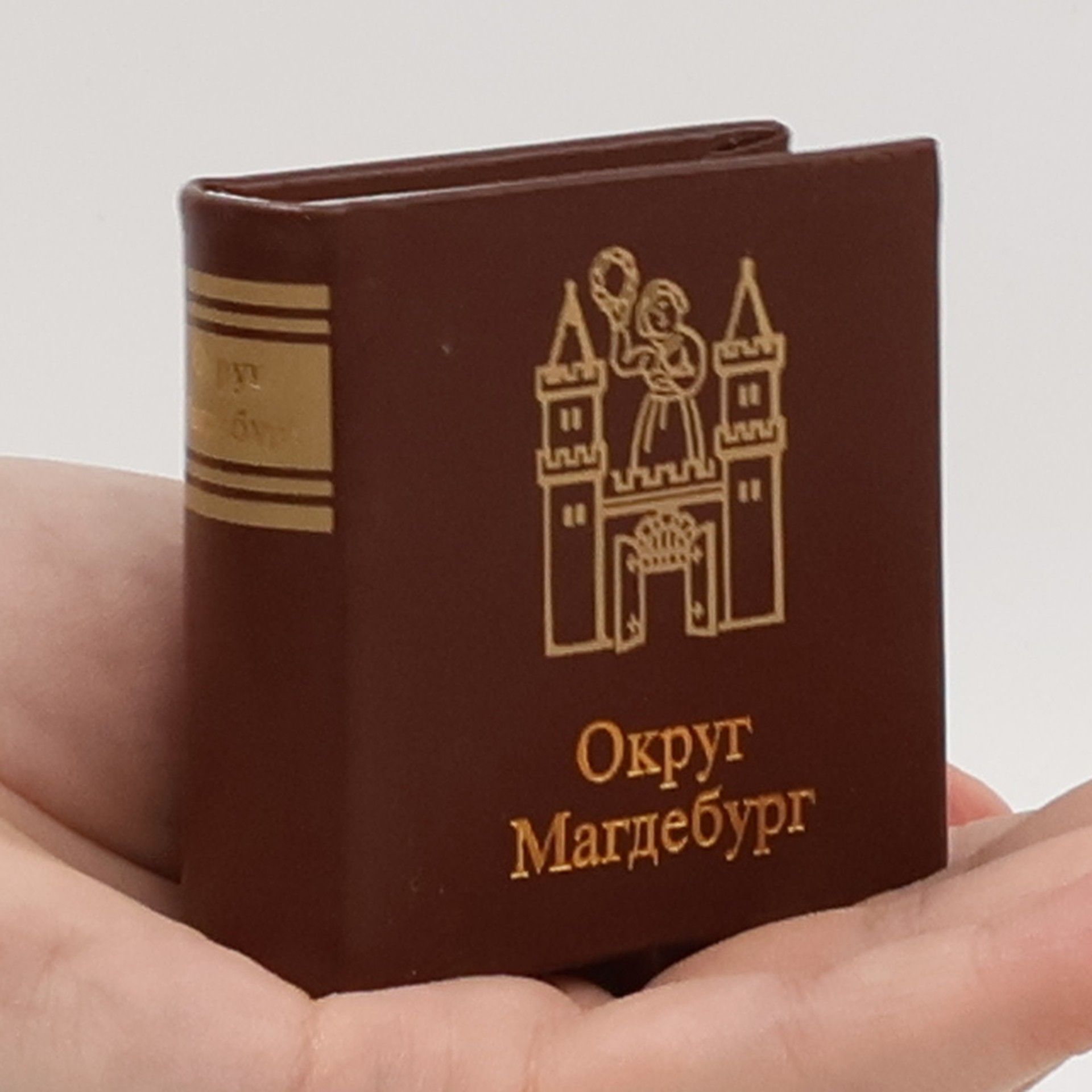 Zigfrid Chempel Округ Магдебург