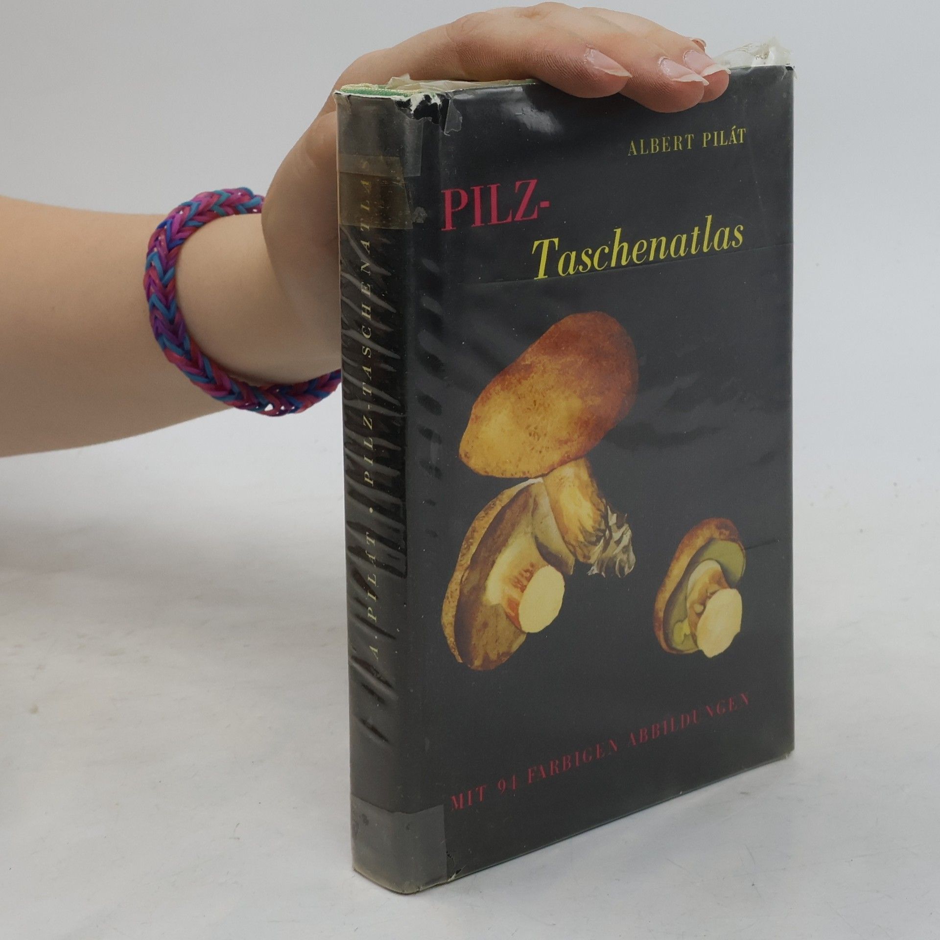 Albert Pilát Pilztaschenatlas