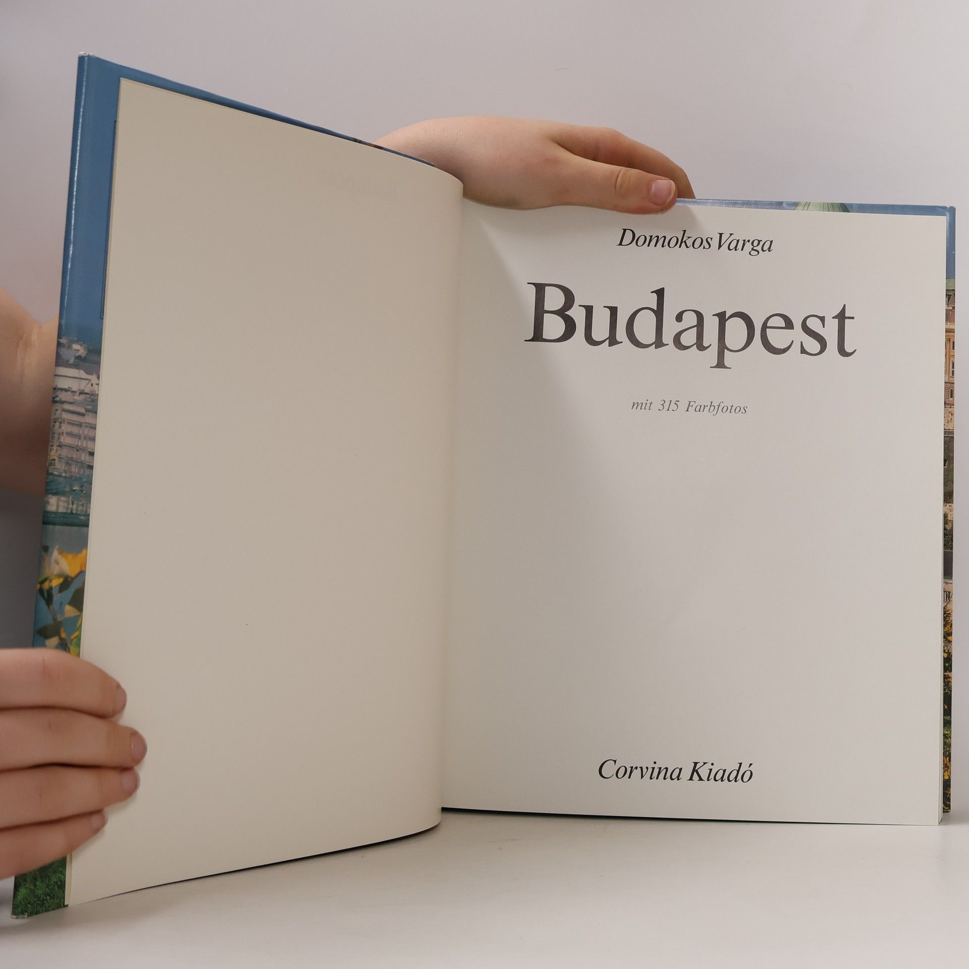 Domokos György Varga Budapest