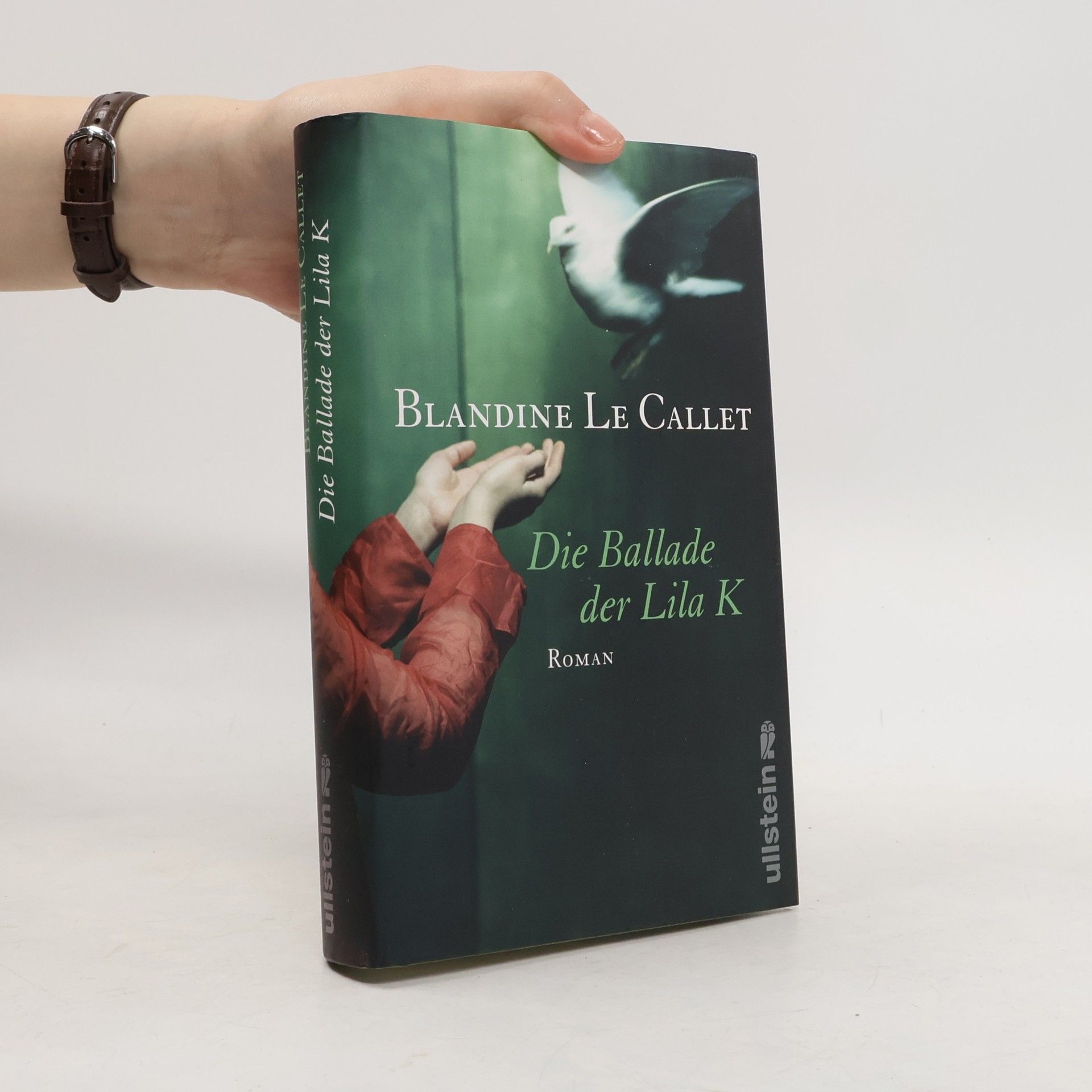 Blandine Le Callet Die Ballade der Lila K
