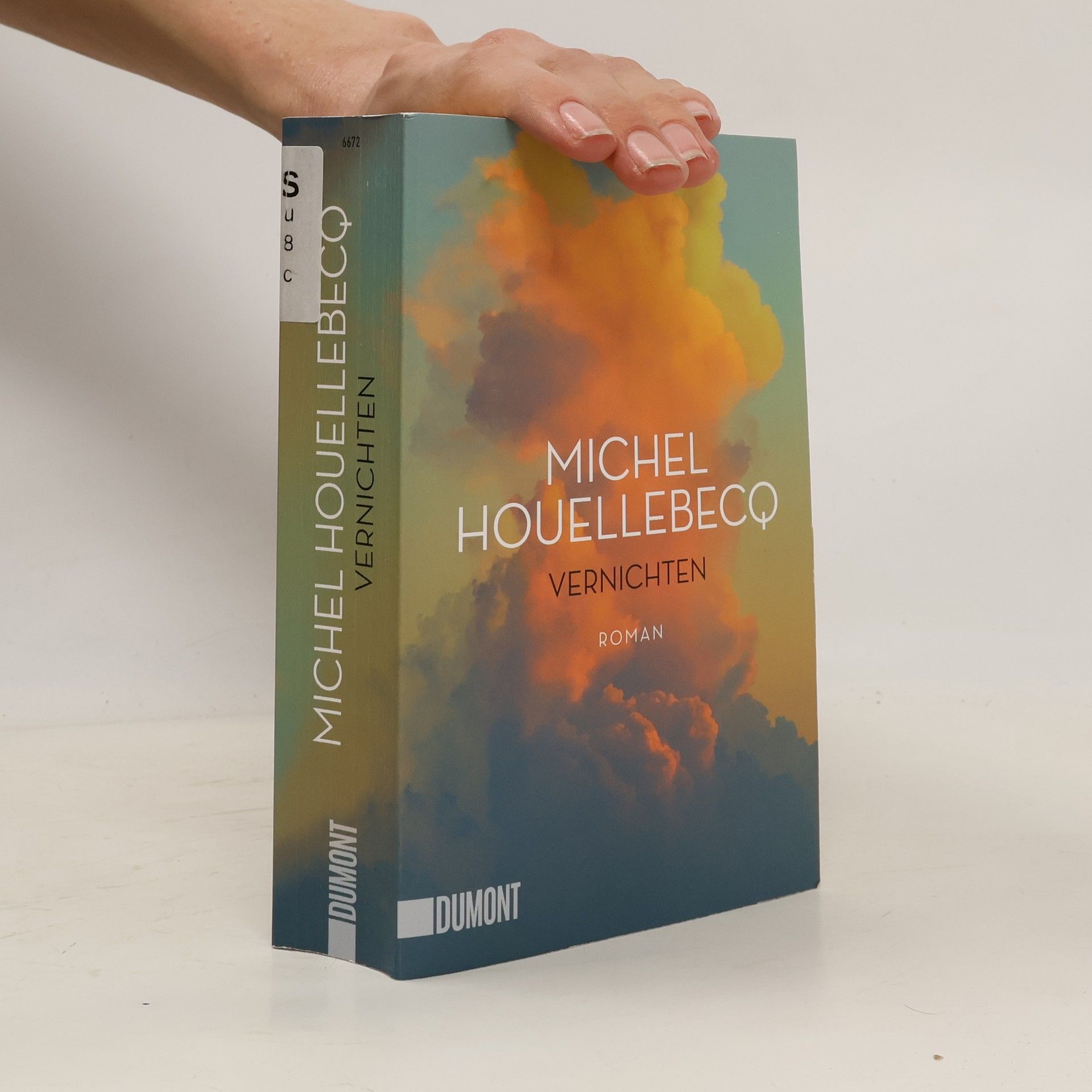 Michel Houellebecq Vernichten