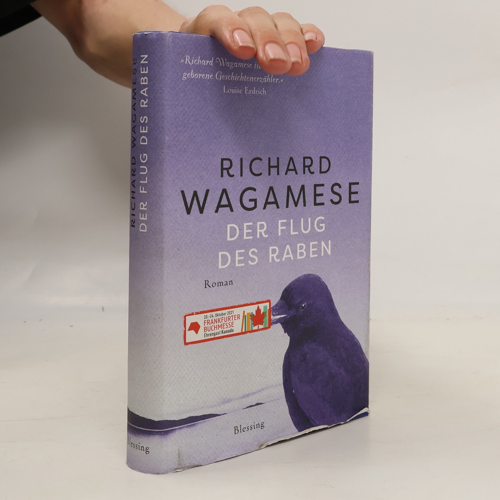 Richard Wagamese Der Flug des Raben