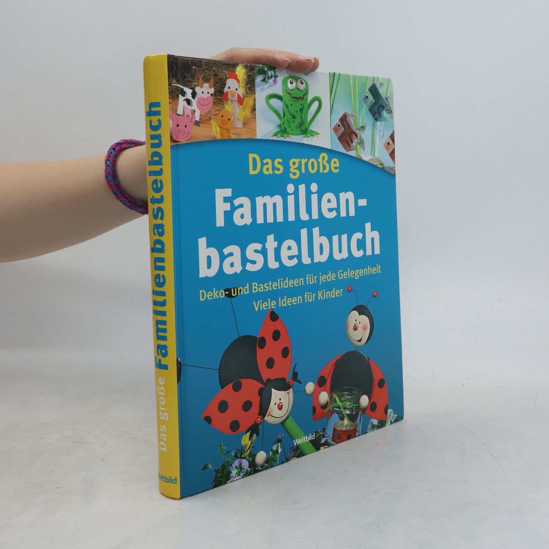 Autorenkollektiv Das große Familienbastelbuch