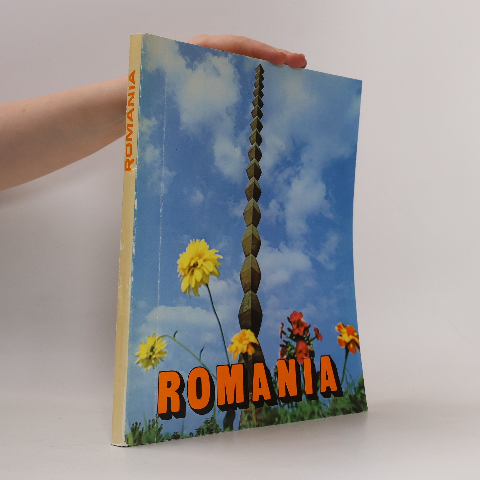 Autorenkollektiv Romania