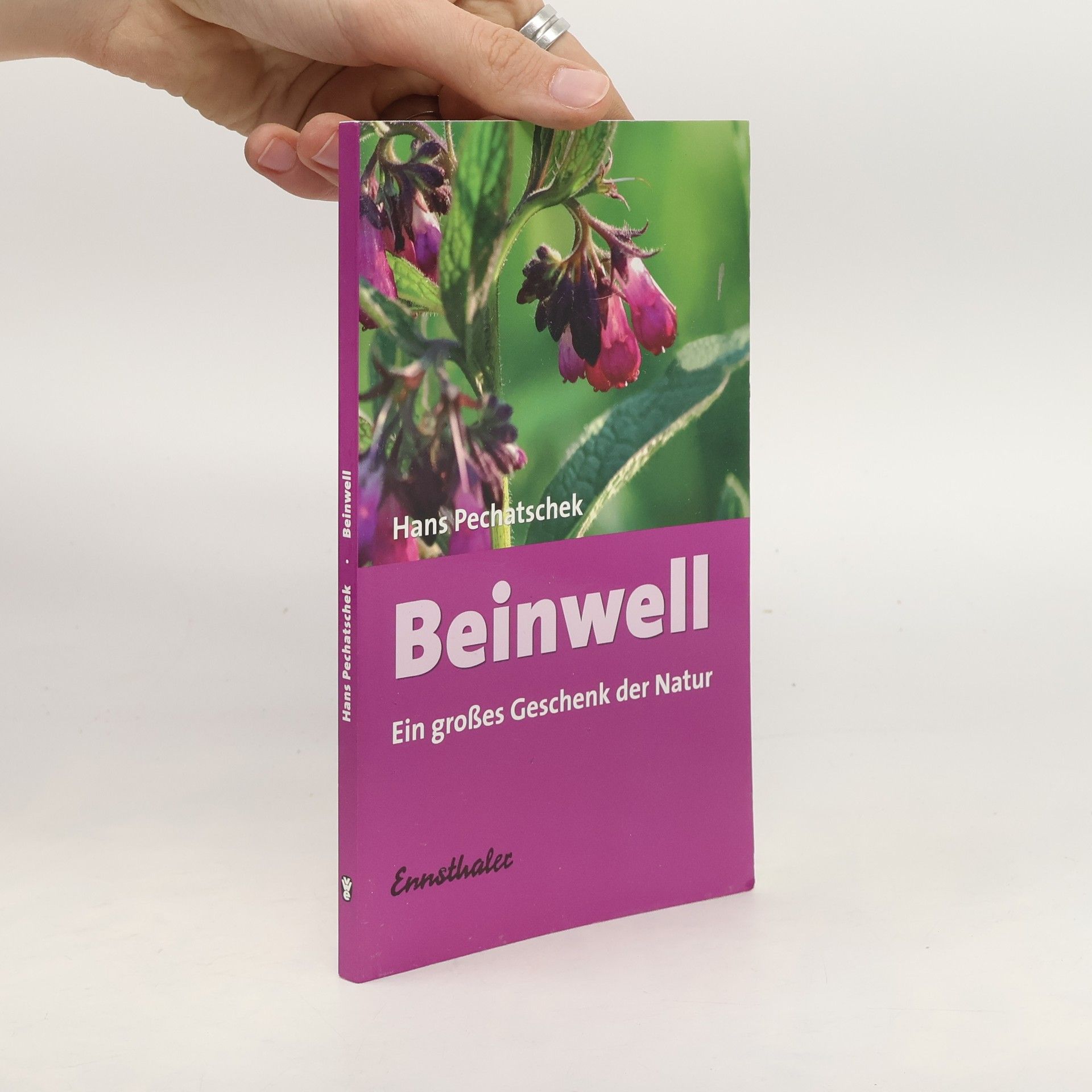 Hans Pechatschek Beinwell