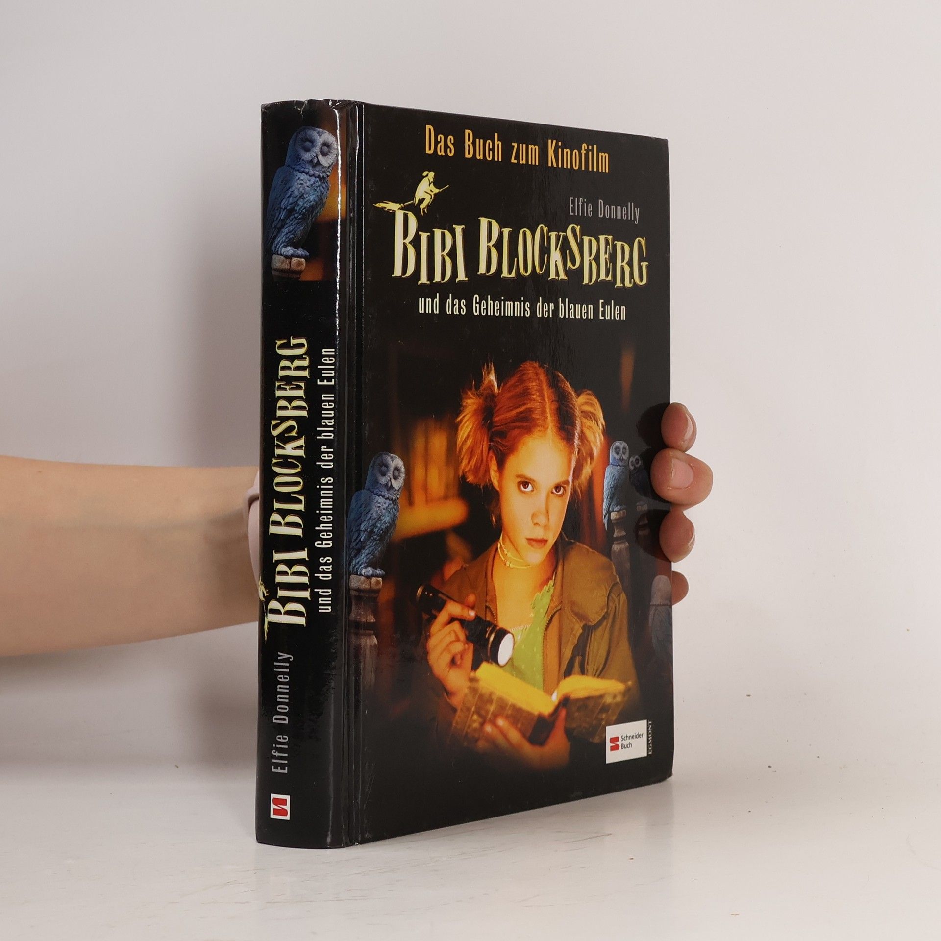 Elfie Donnelly Bibi Blocksberg und das Geheimnis der blauen Eulen