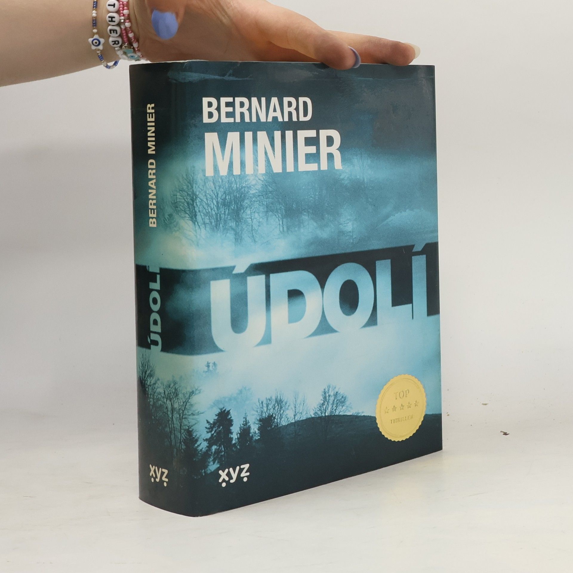 Bernard Minier Údolí