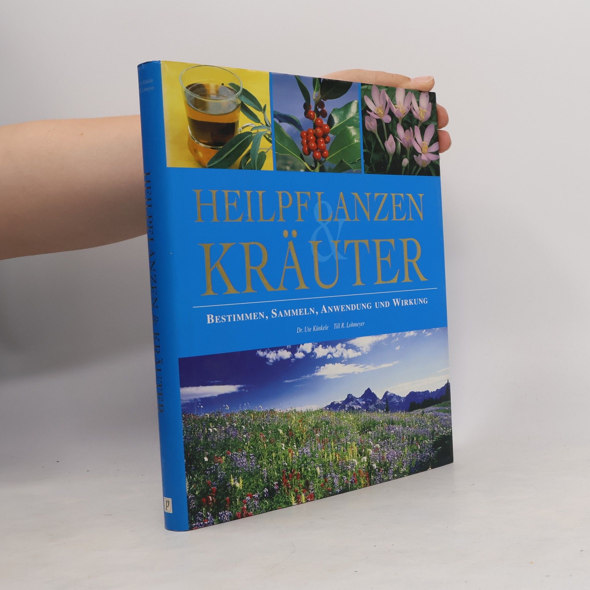 Heilpflanzen & Kräuter