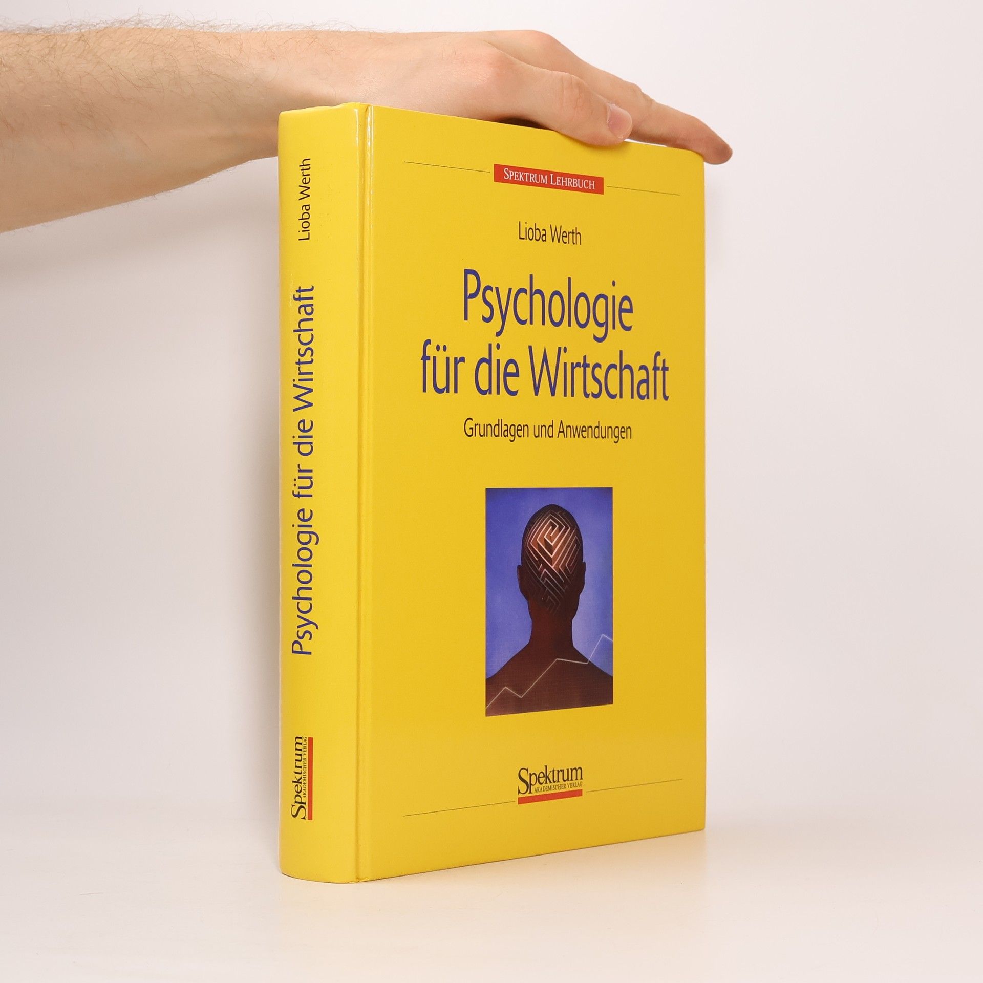 Lioba Werth Psychologie für die Wirtschaft