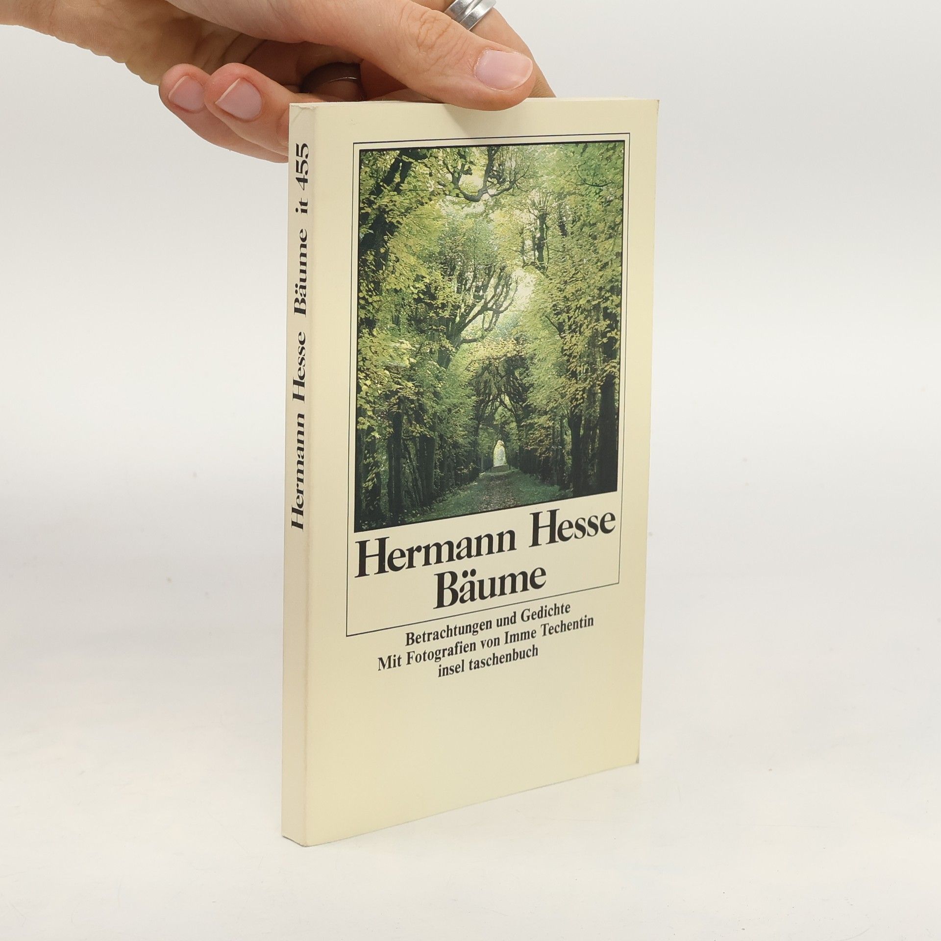 Hermann Hesse Bäume