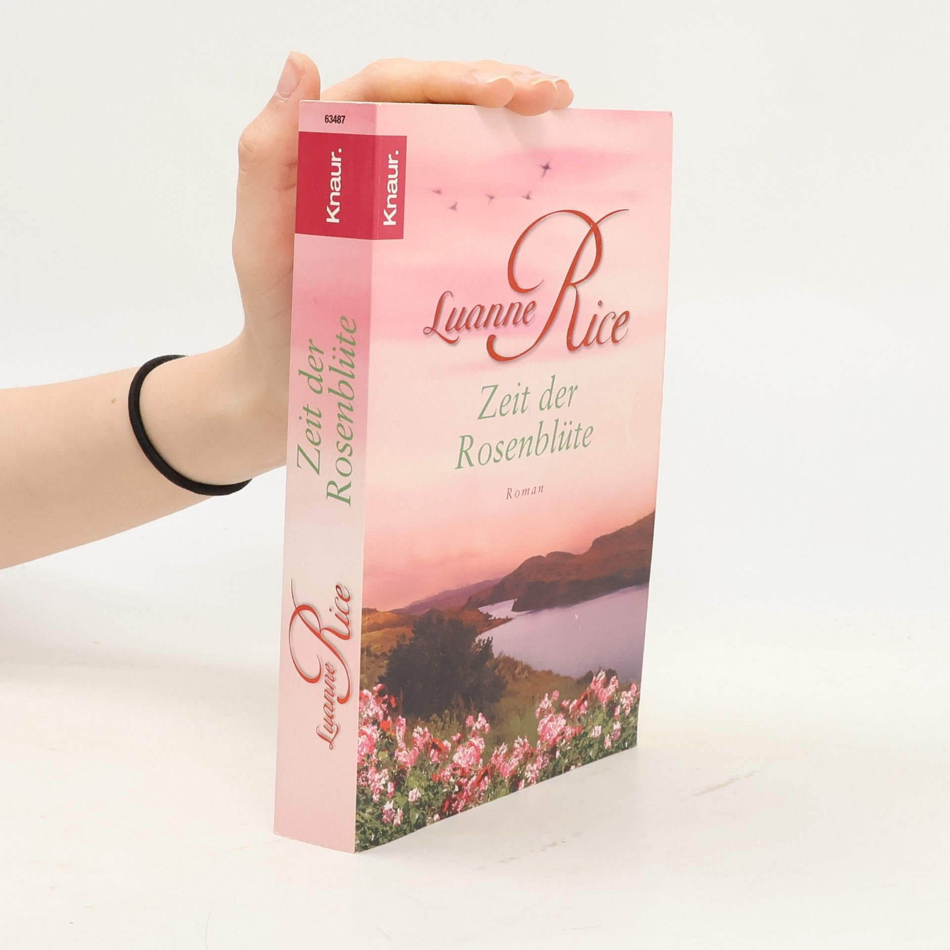 Luanne Rice Zeit der Rosenblüte