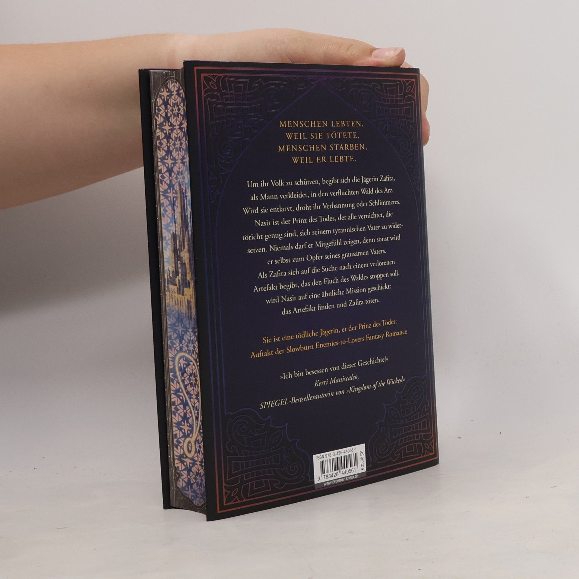 Hafsah Faizal We hunt the Flame / Die Reiche von Arawiya Bd.1