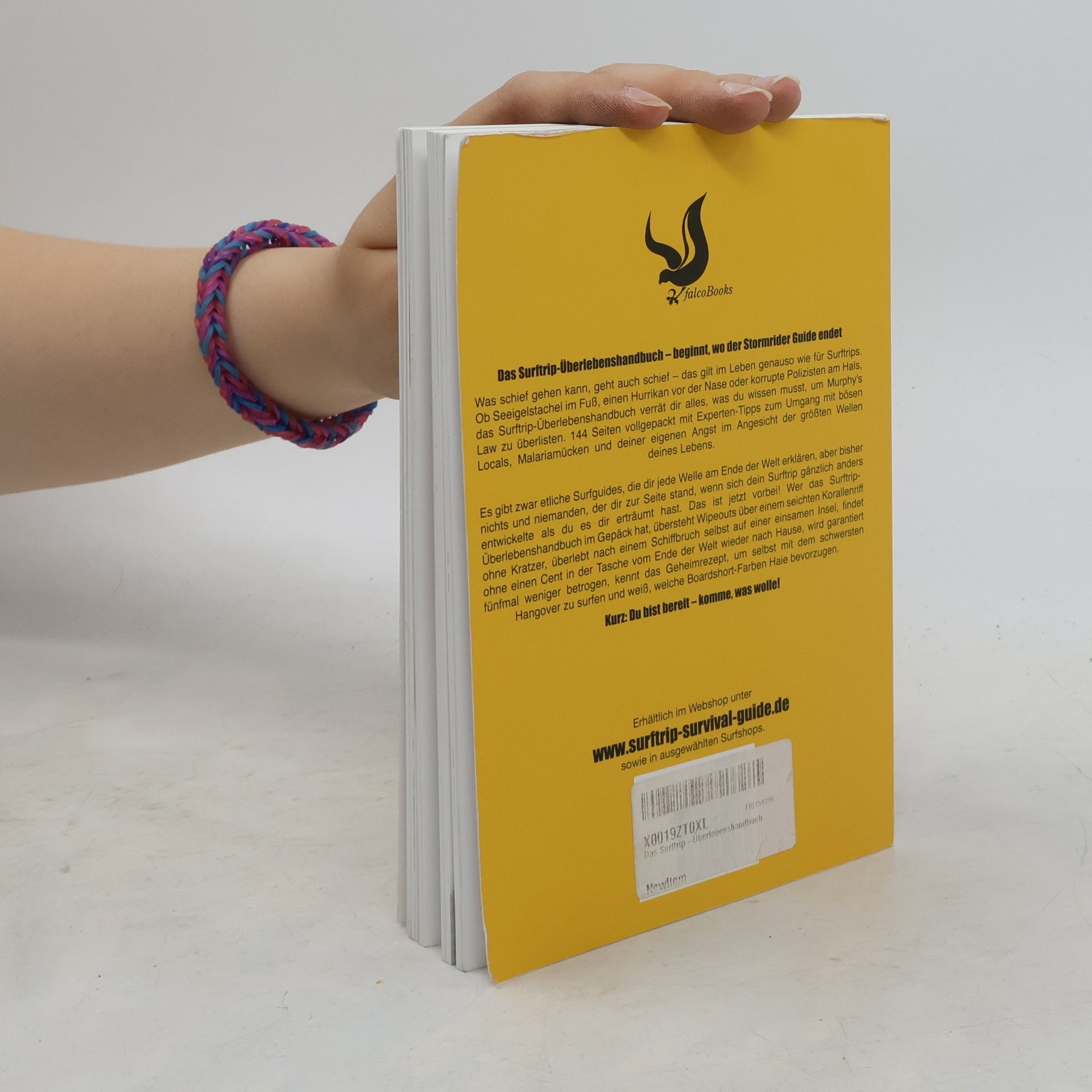 Autorenkollektiv Das Surftrip-Überlebenshandbuch