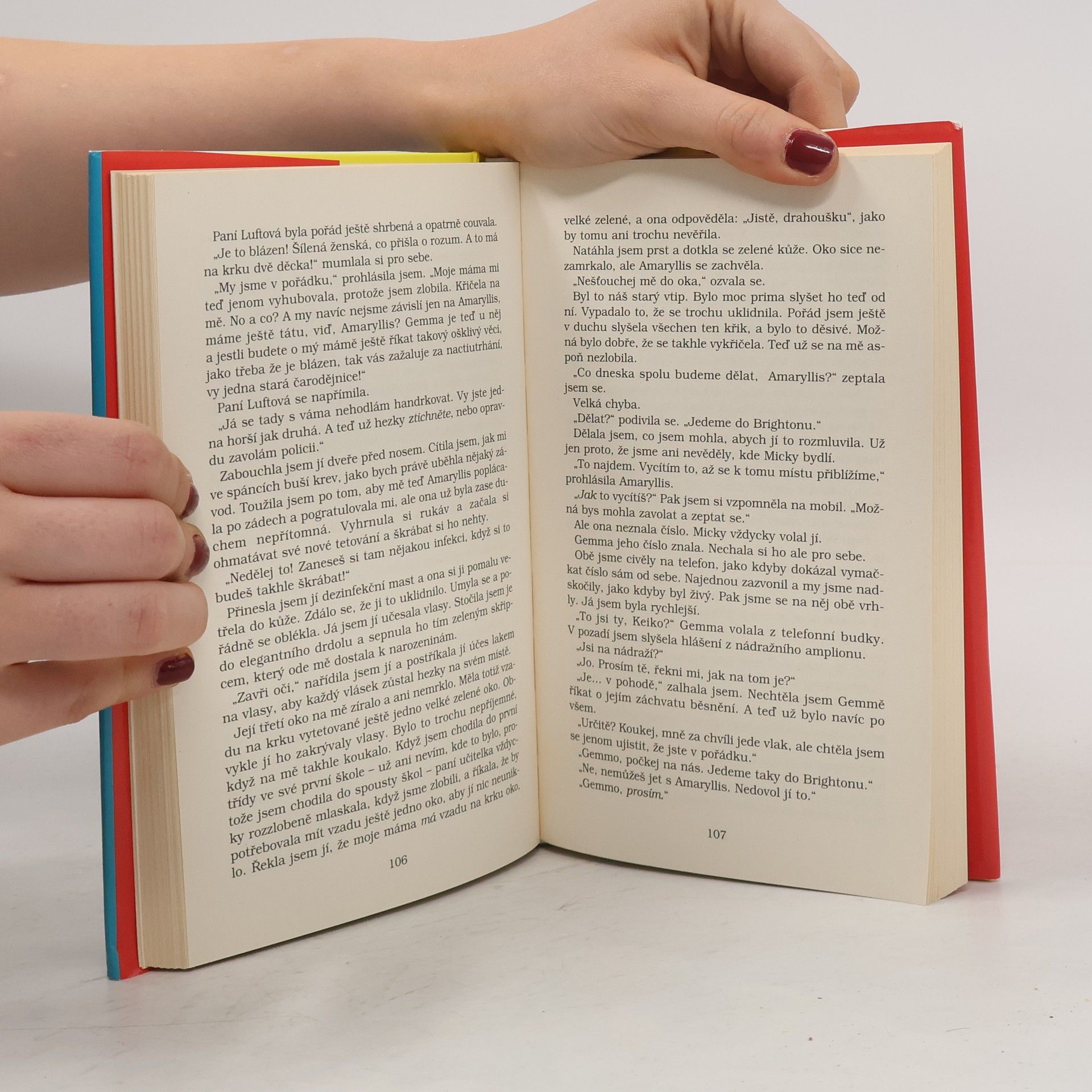 Jacqueline Wilson Ilustrovaná máma