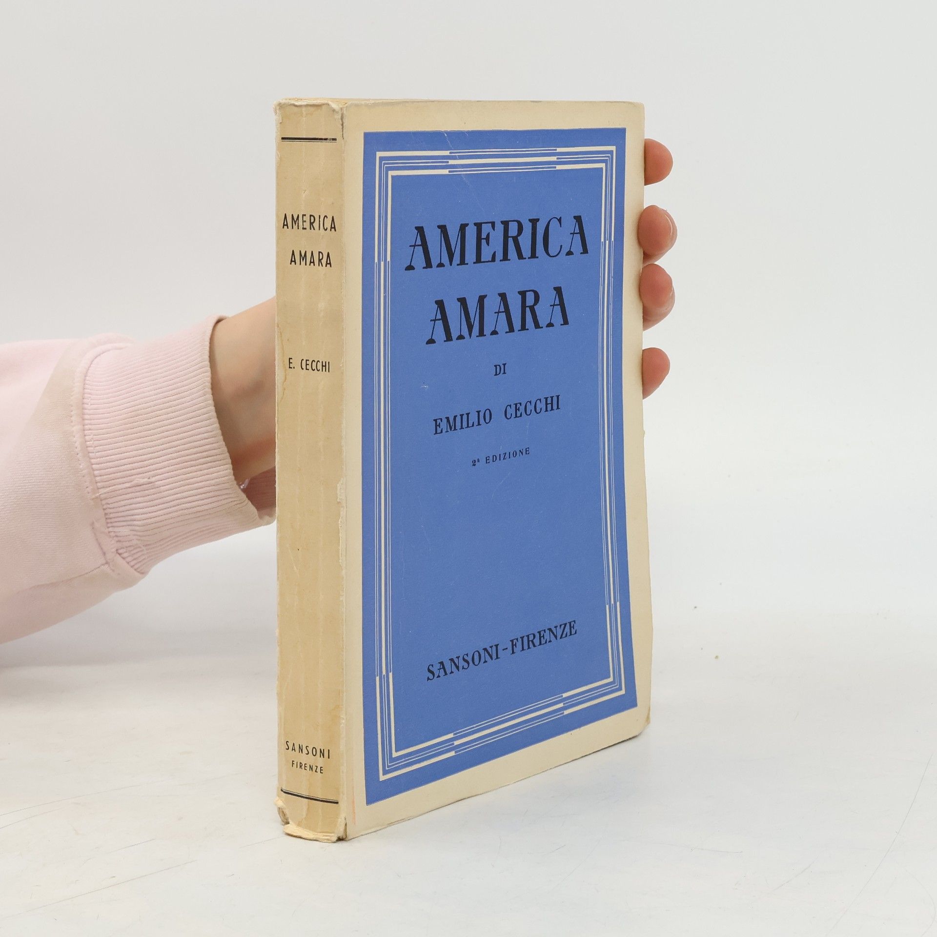 Emilio Cecchi America Amara