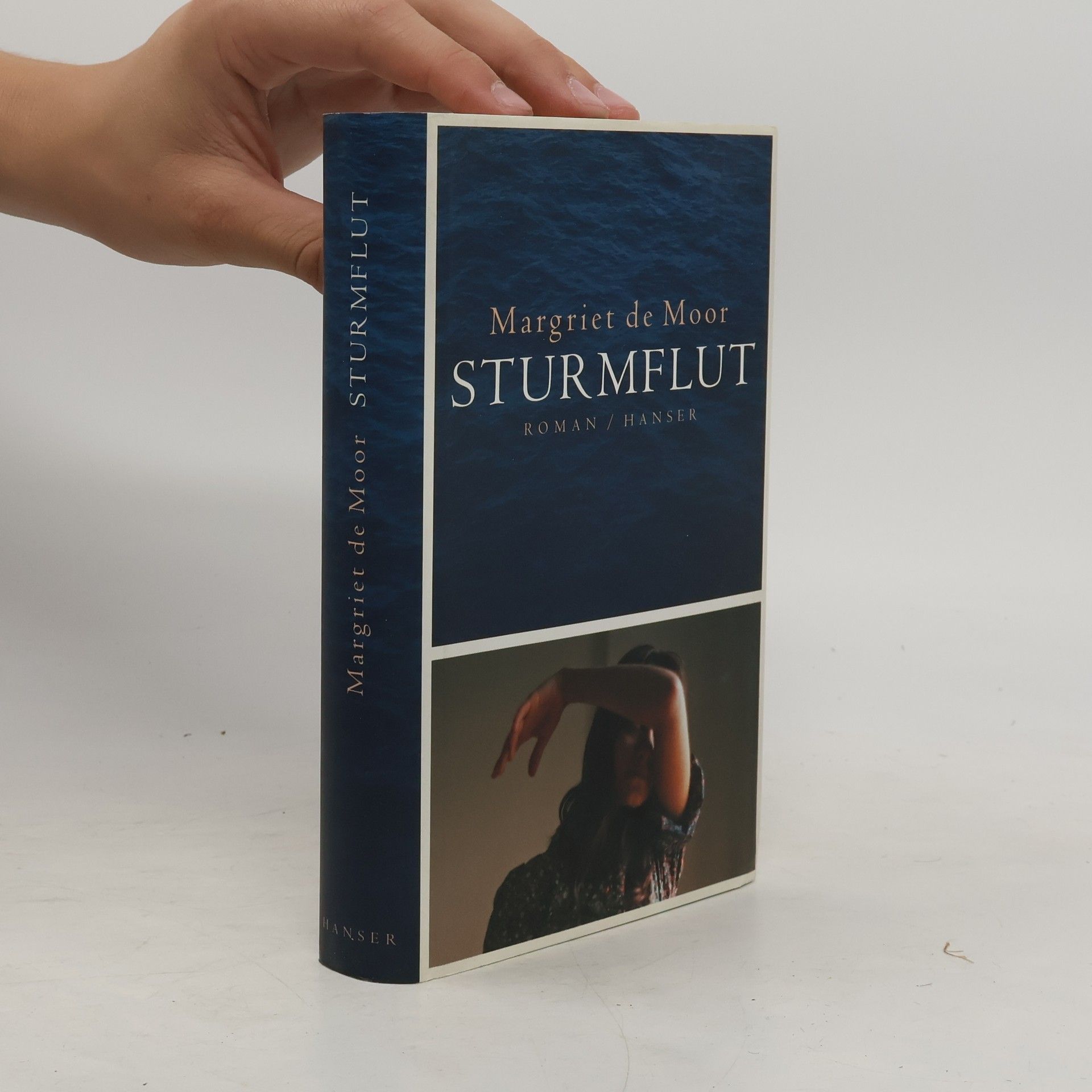 Margriet de Moor Sturmflut