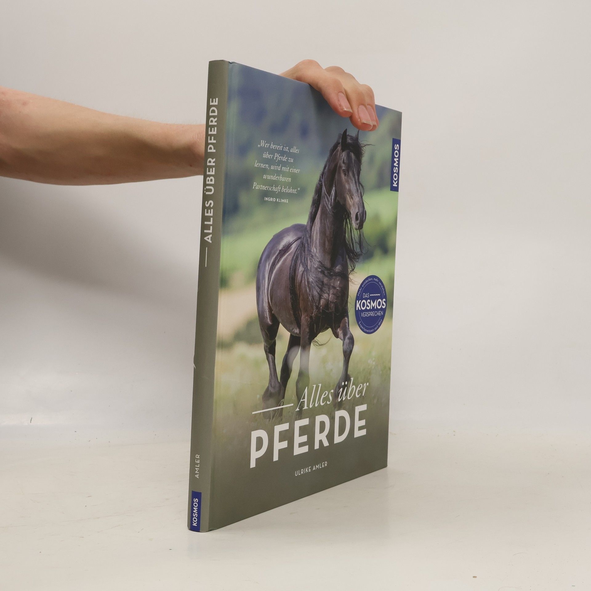 Alles über Pferde