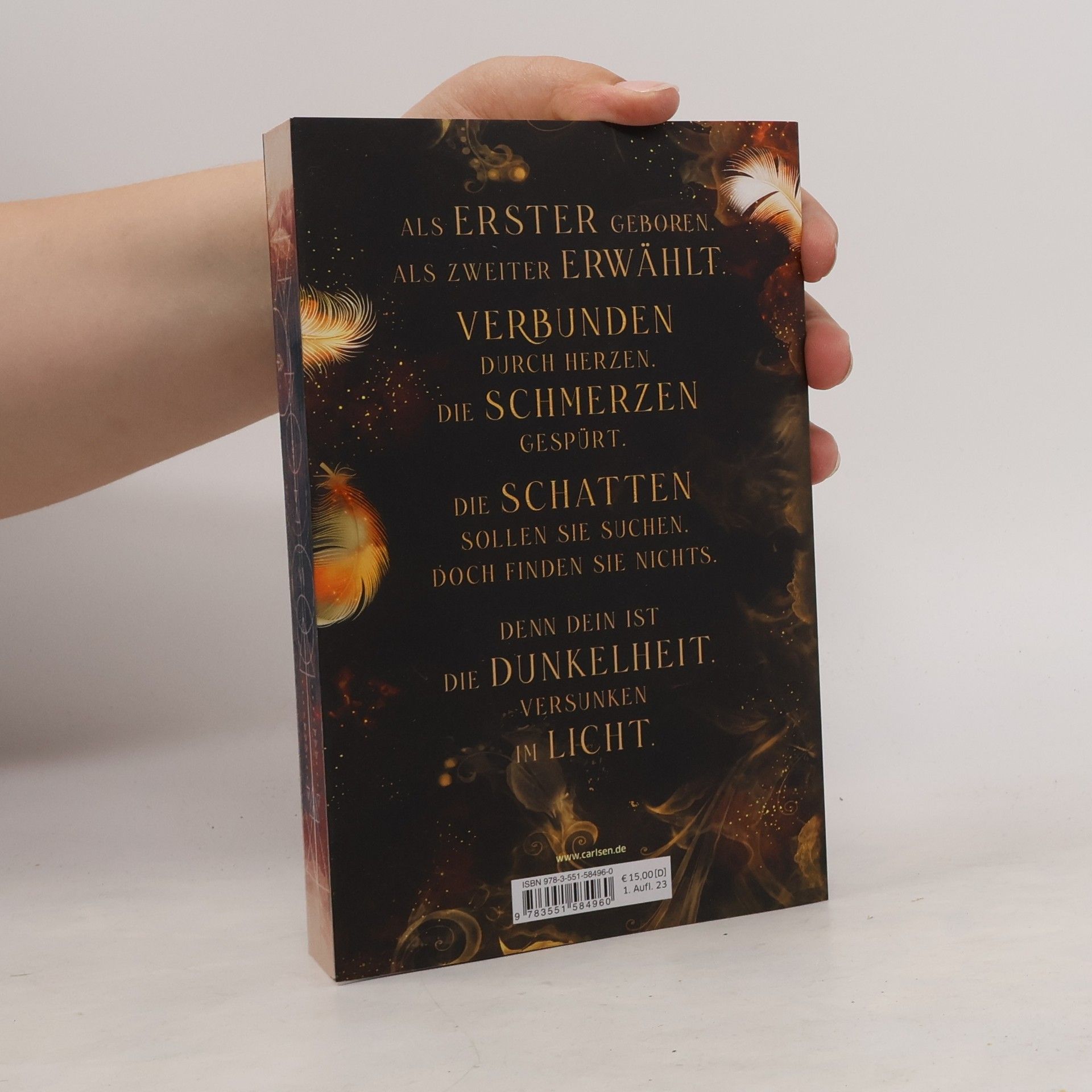 Dana Müller-Braun Fallen Kingdom 2: Zerbrochene Wahrheit
