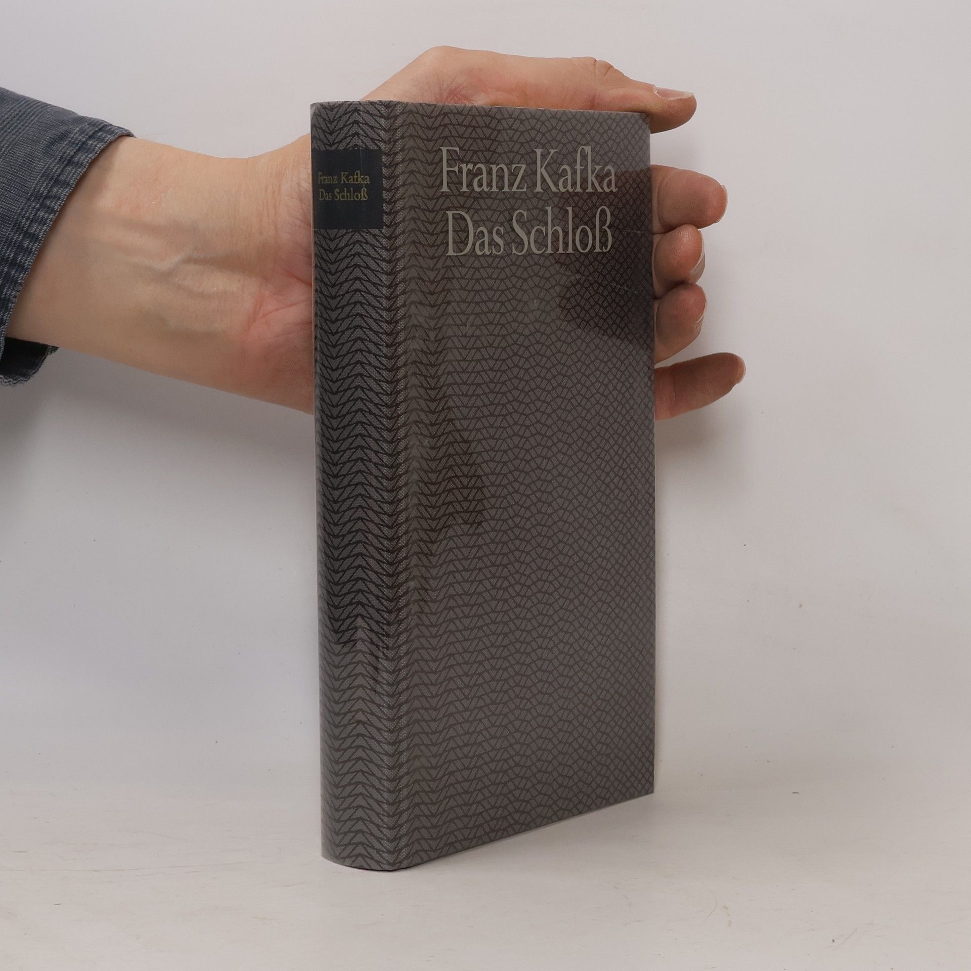 Franz Kafka Das Schloß