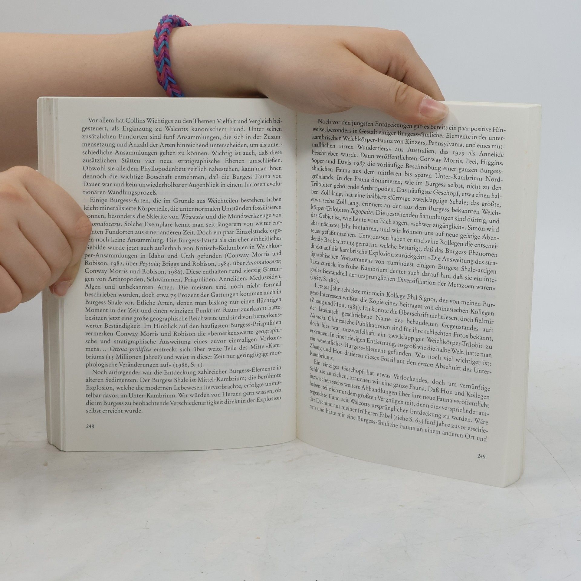 Stephen Jay Gould Zufall Mensch