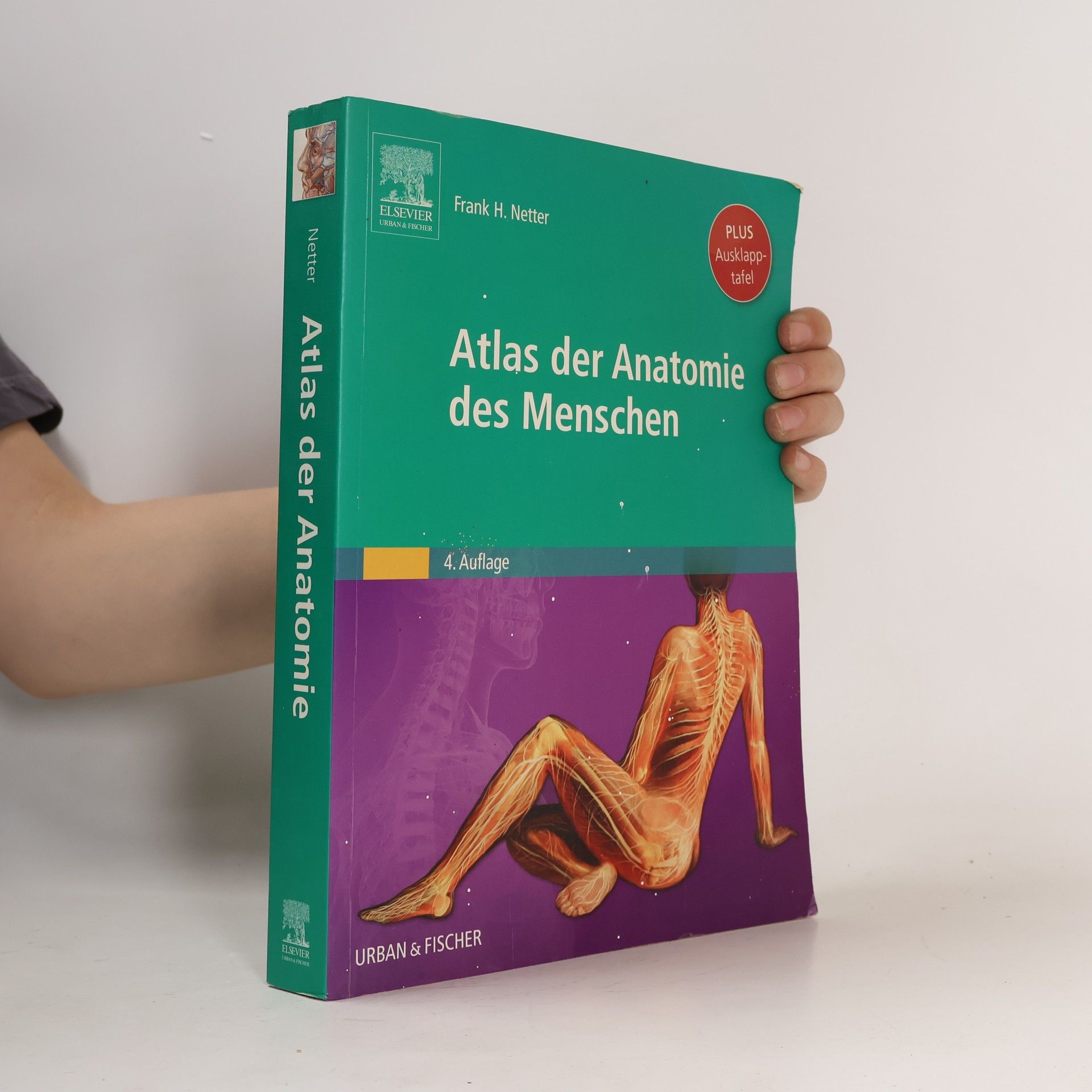 Frank Netter Atlas der Anatomie des Menschen