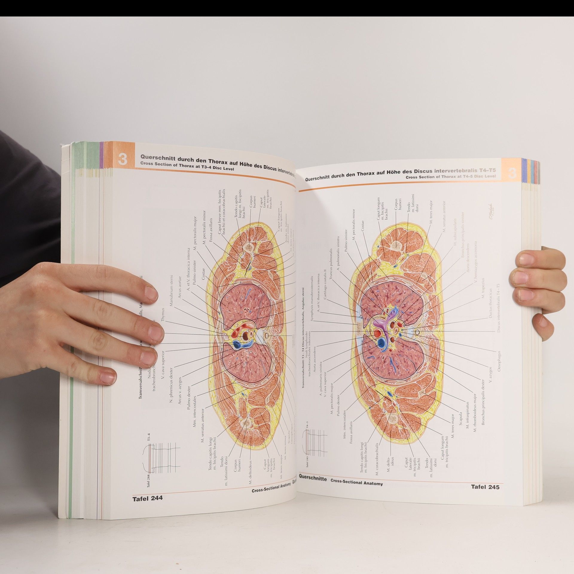 Frank H. Netter Atlas der Anatomie des Menschen