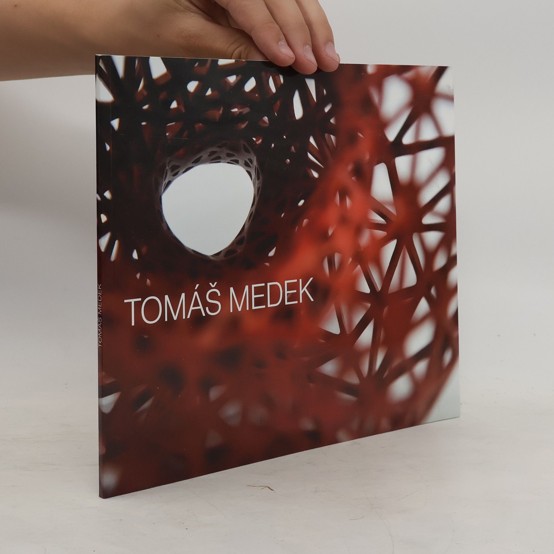 Tomáš Medek Tomáš Medek : prostorové struktry, spatial structures