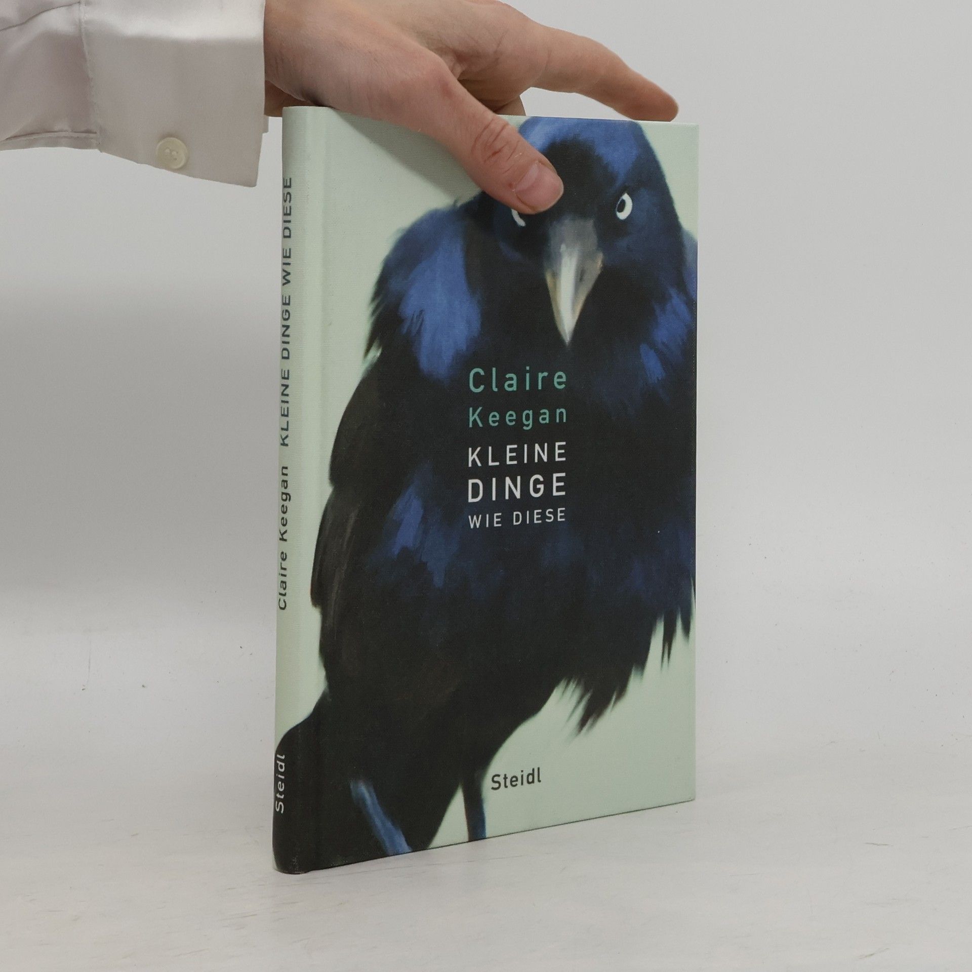 Claire Keegan Kleine Dinge wie diese