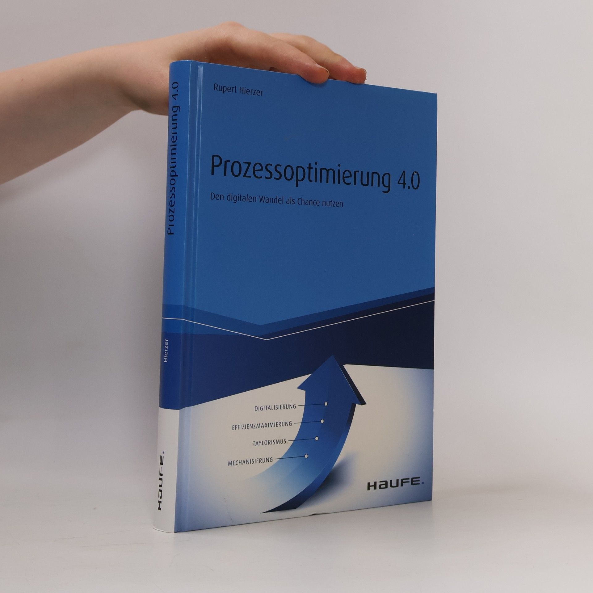 Rupert Hierzer Prozessoptimierung 4.0