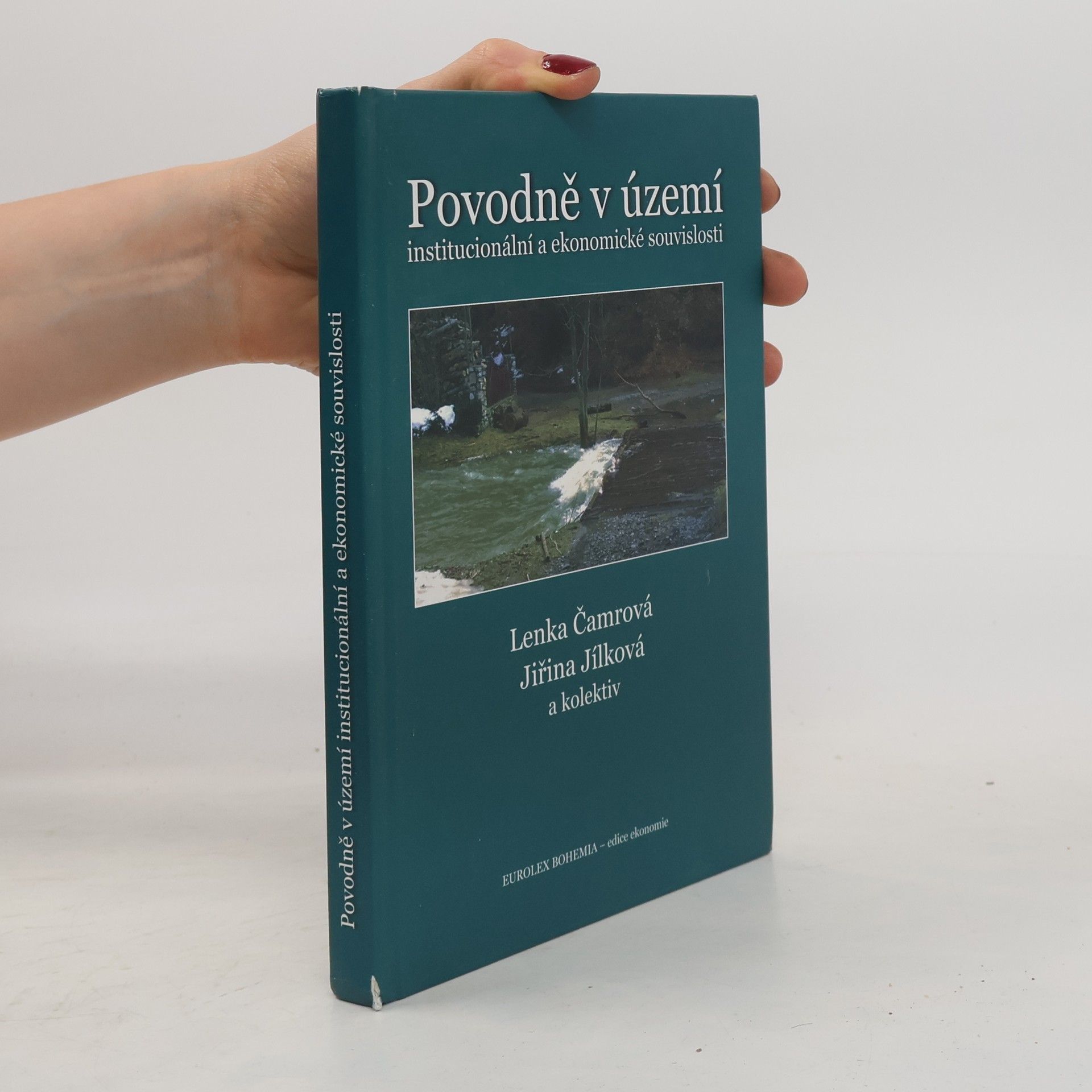 Povodně v území : institucionální a ekonomické souvislosti