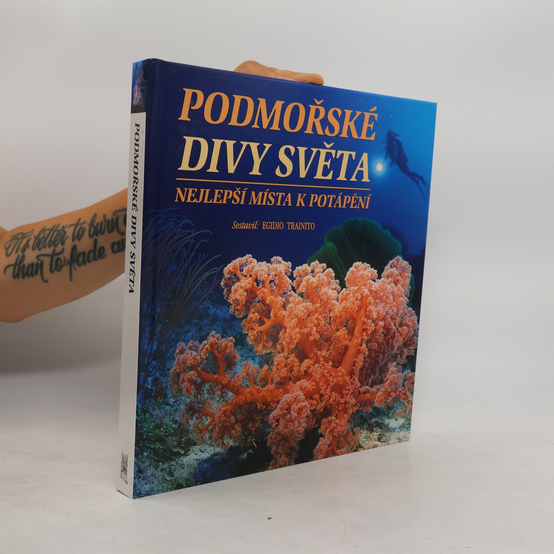 Kurt Amsler Podmořské divy světa. Nejlepší místa k potápění