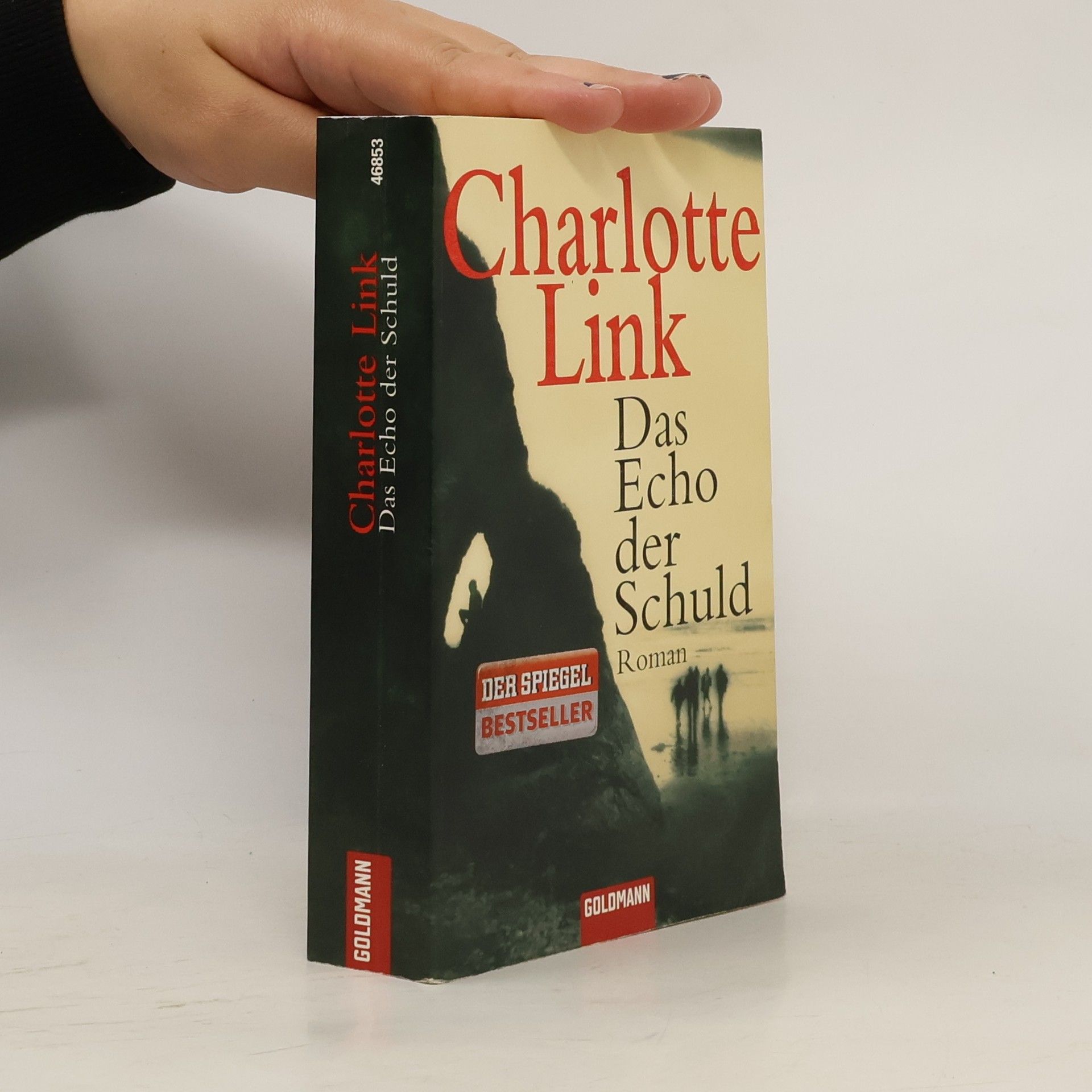 Charlotte Link Das Echo der Schuld