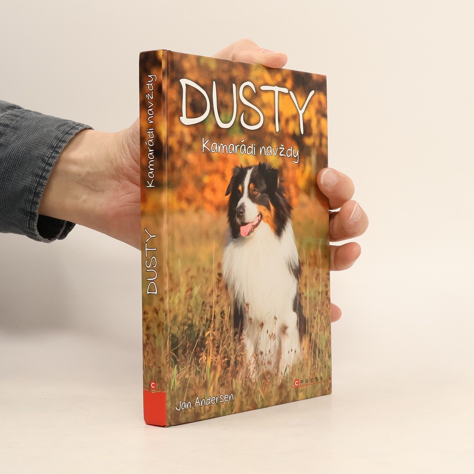 Dusty: Kamarádi navždy