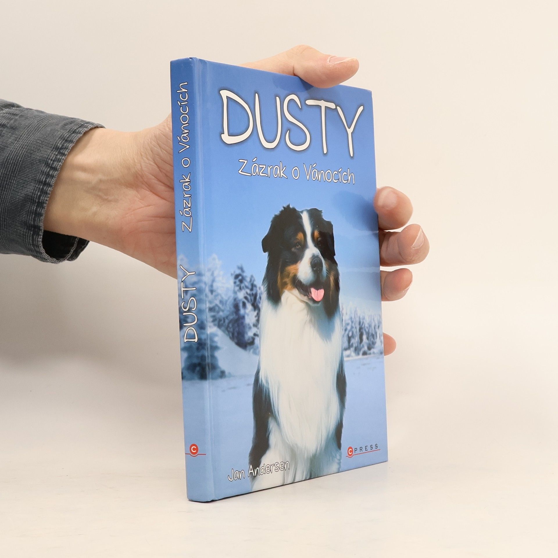 Wolfram Hänel Dusty: Zázrak o Vánocích
