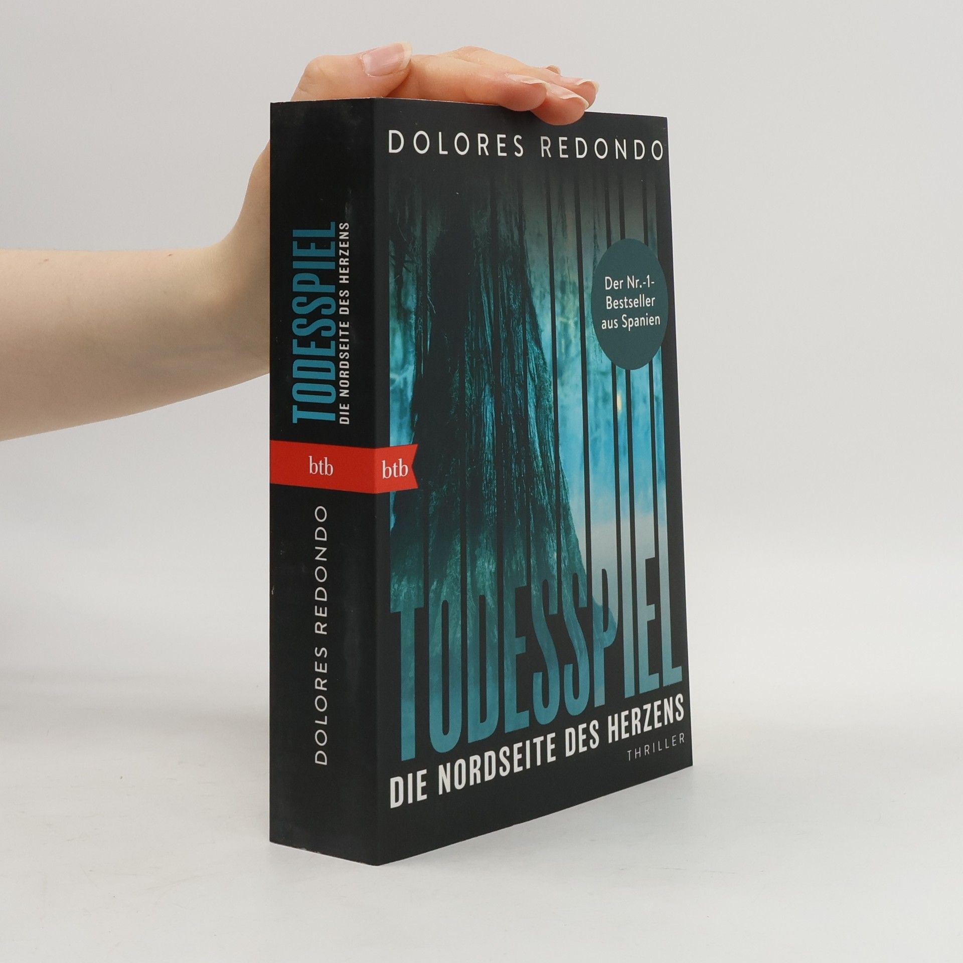 Dolores Redondo Todesspiel. Die Nordseite des Herzens