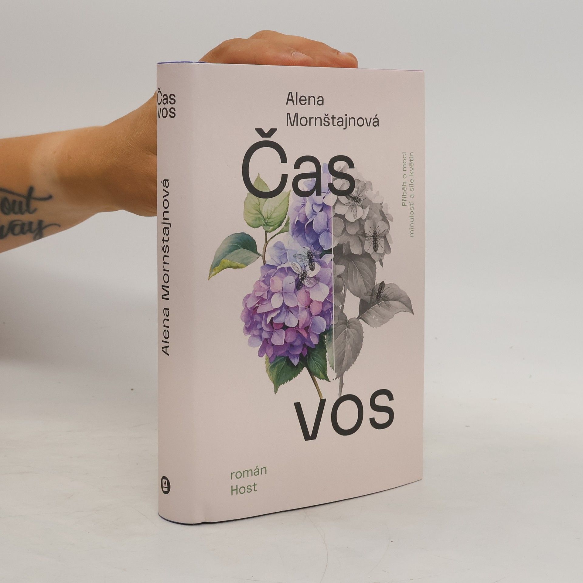 Alena Mornštajnová Čas vos