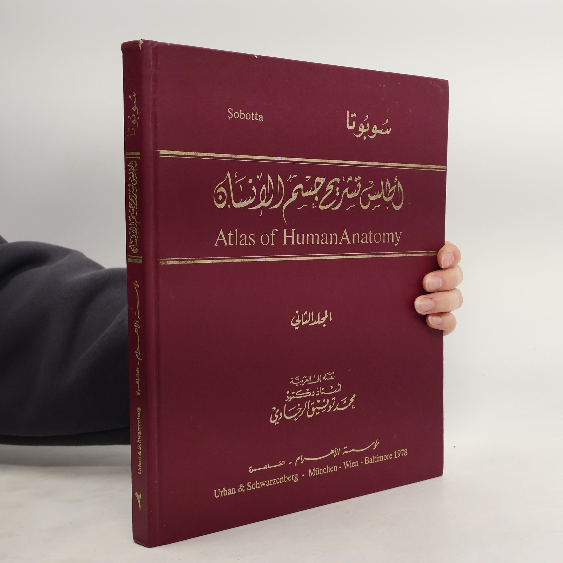 الجالس تشريح جسم الإنسان. Atlas of Human Anatomy 2