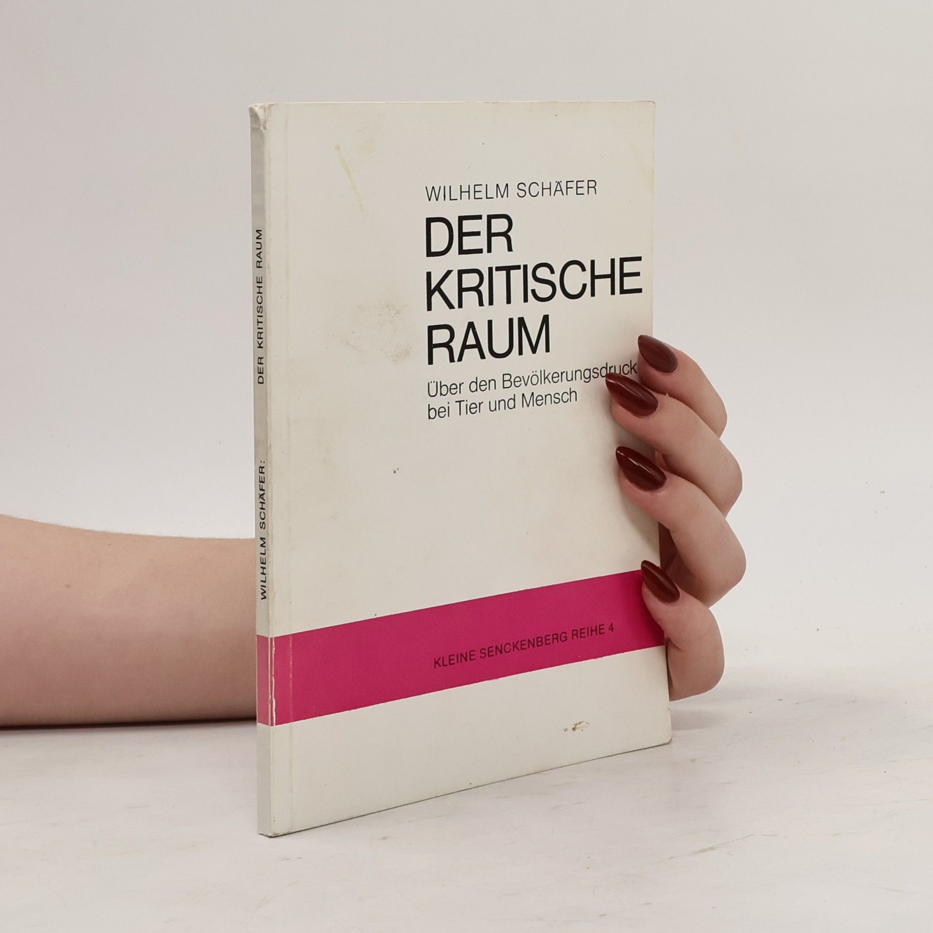 Der kritische Raum