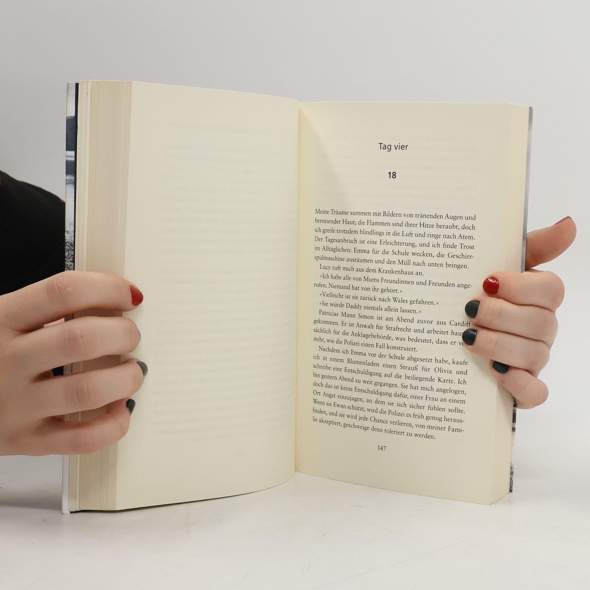 Michael Robotham Die andere Frau