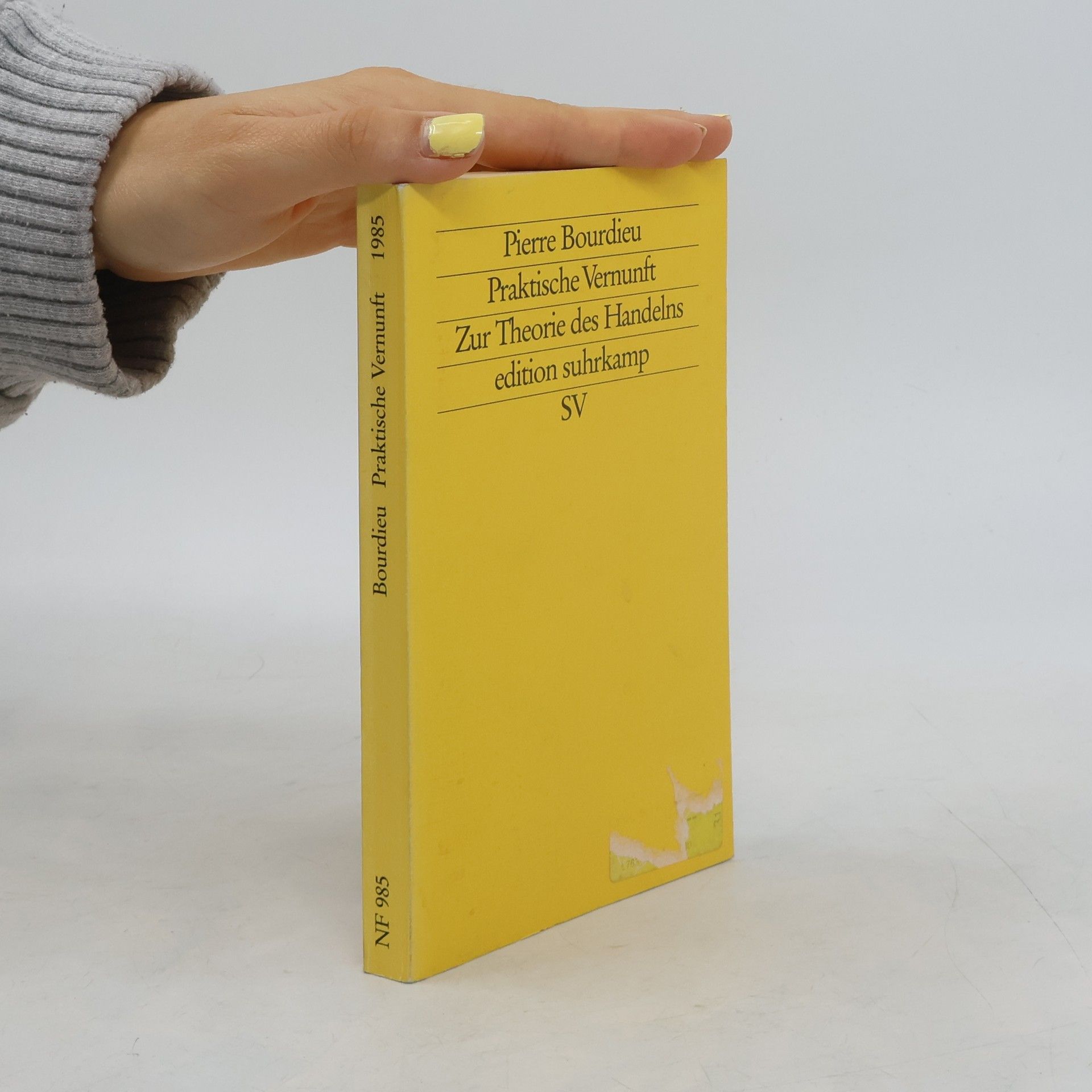 Pierre Bourdieu Praktische Vernunft