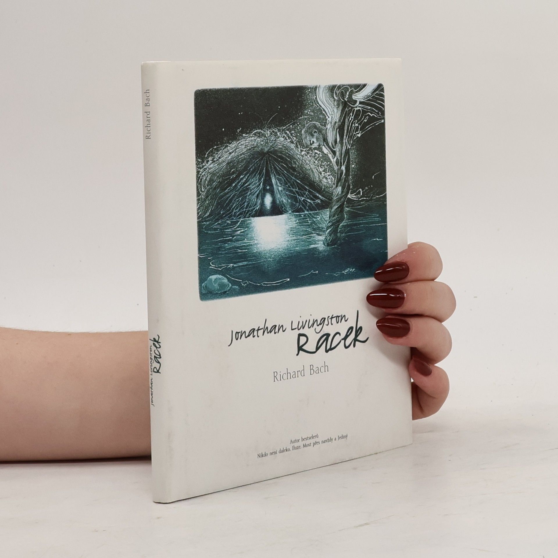 Richard David Bach Jonathan Livingston: Racek