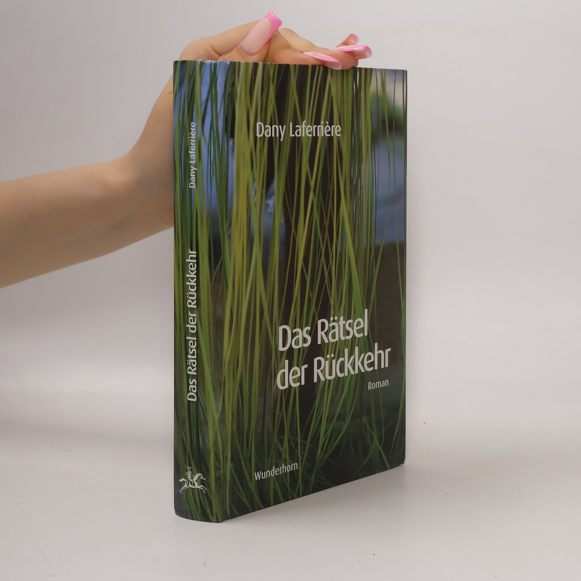 Dany Laferrière Das Rätsel der Rückkehr