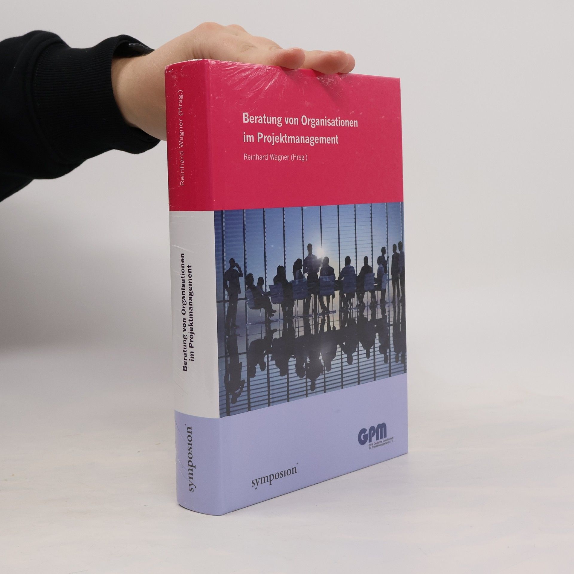 Gerhard Hab Beratung von Organisationen im Projektmanagement