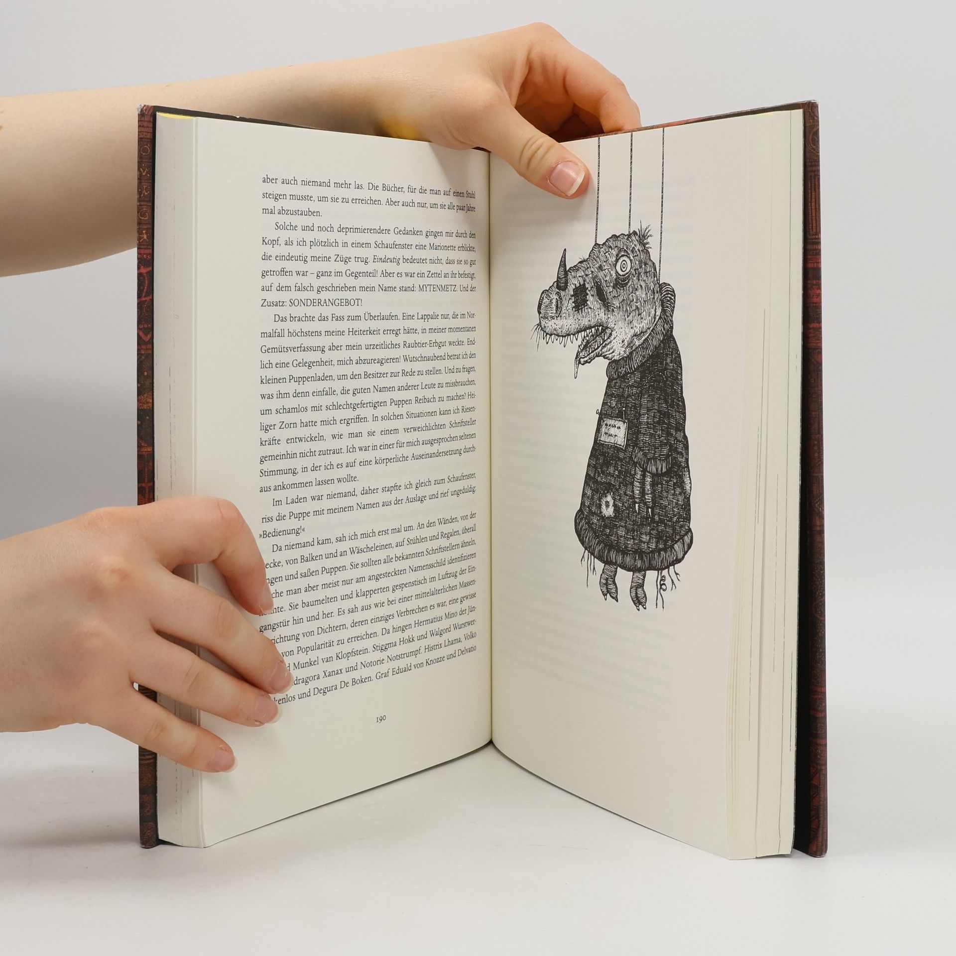 Walter Moers Das Labyrinth der Träumenden Bücher