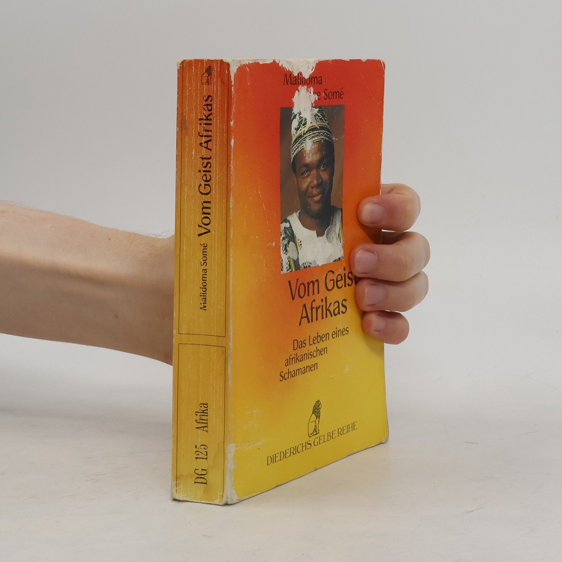 Malidoma Patrice Somé Vom Geist Afrikas